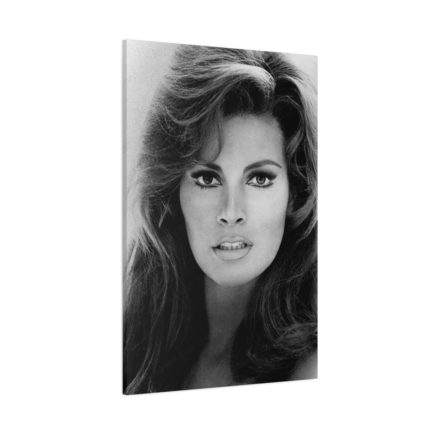 Raquel Welch Wall Art & Canvas Prints