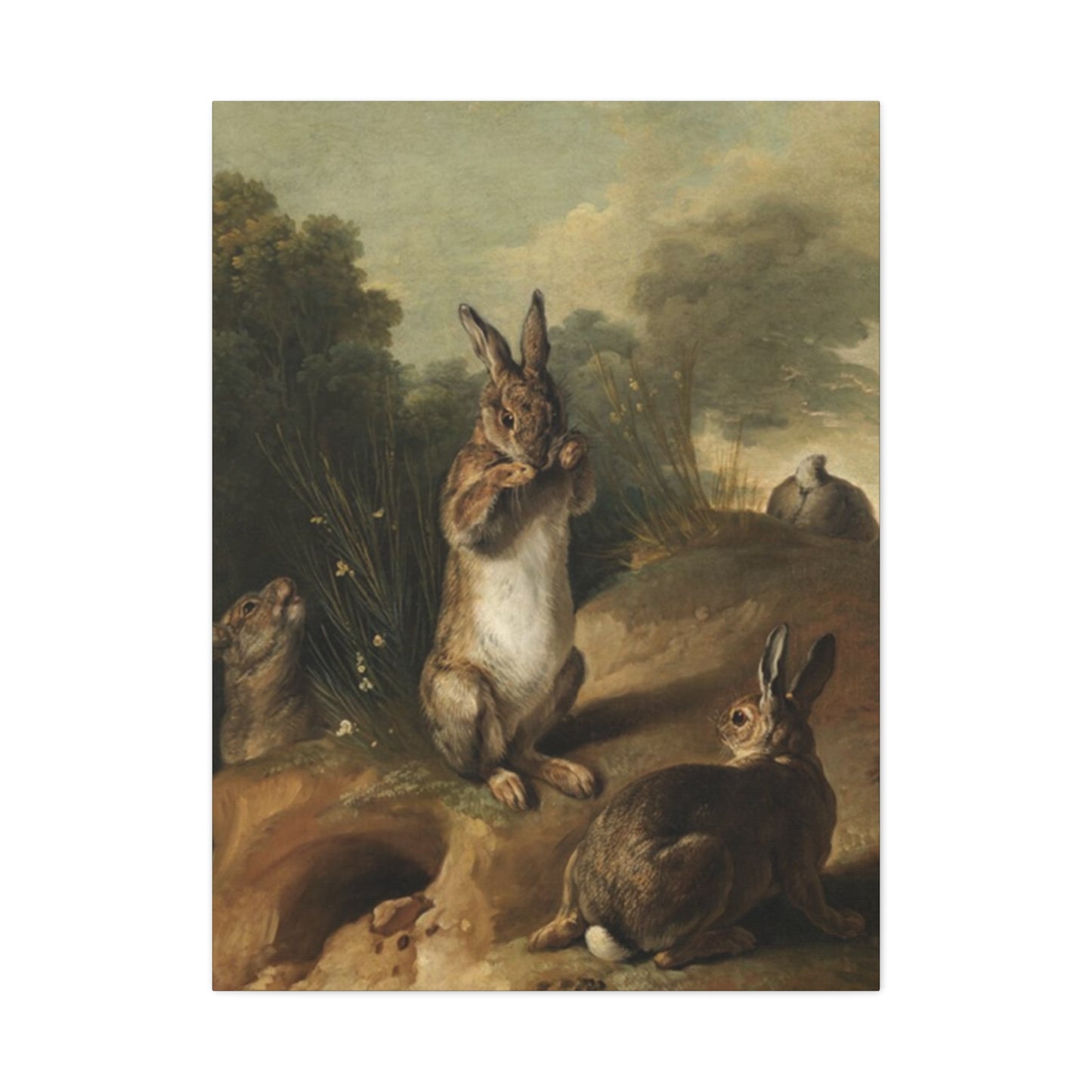 Rabbit In Wild Painting Wall Art & Canvas Prints