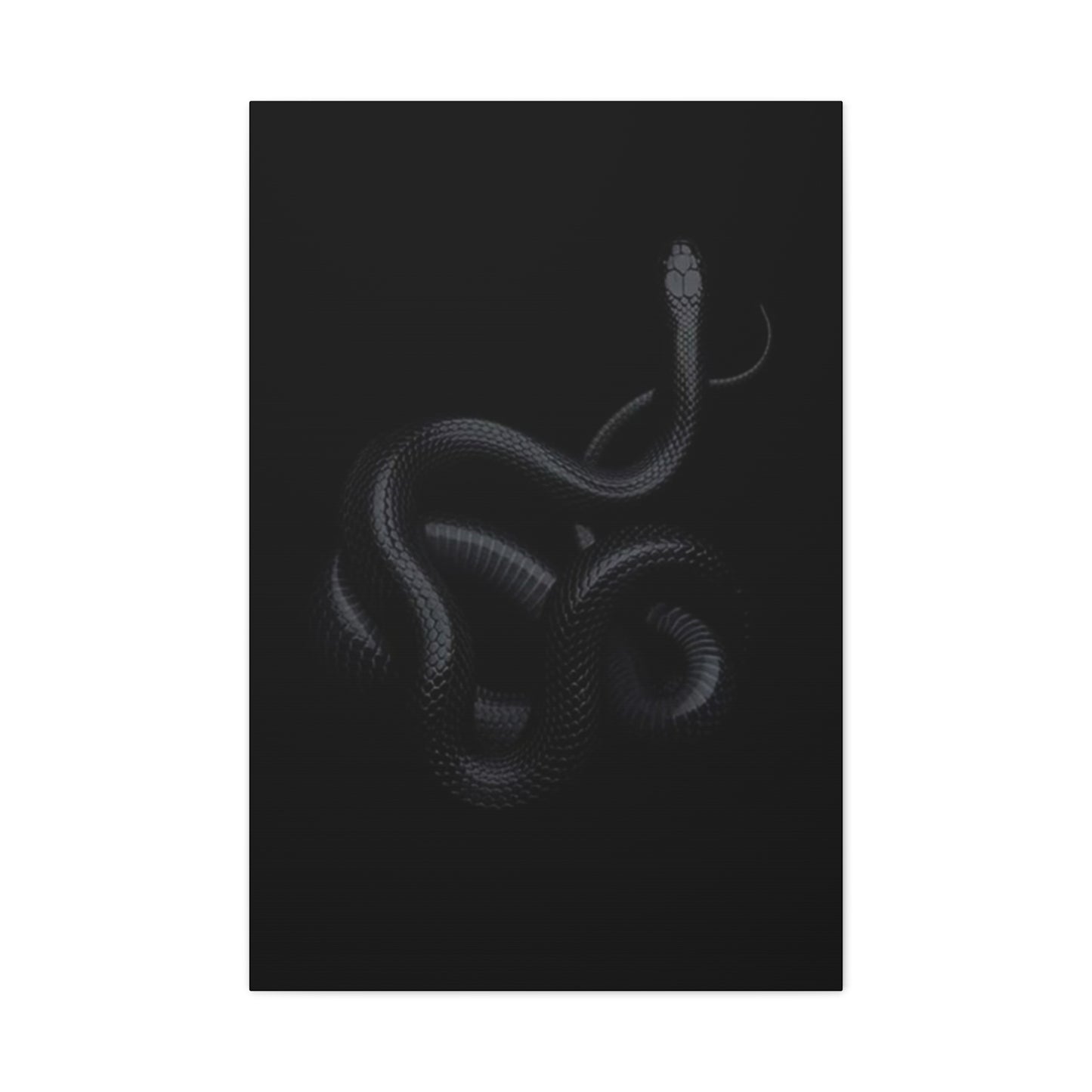Black Snake's Poster Wall Art & Canvas Prints