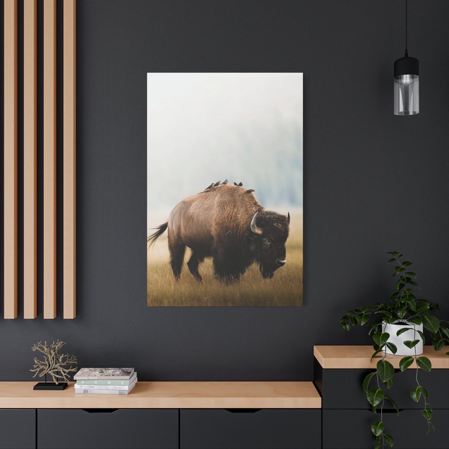 Bison Carrying Birds Wall Art & Canvas Prints
