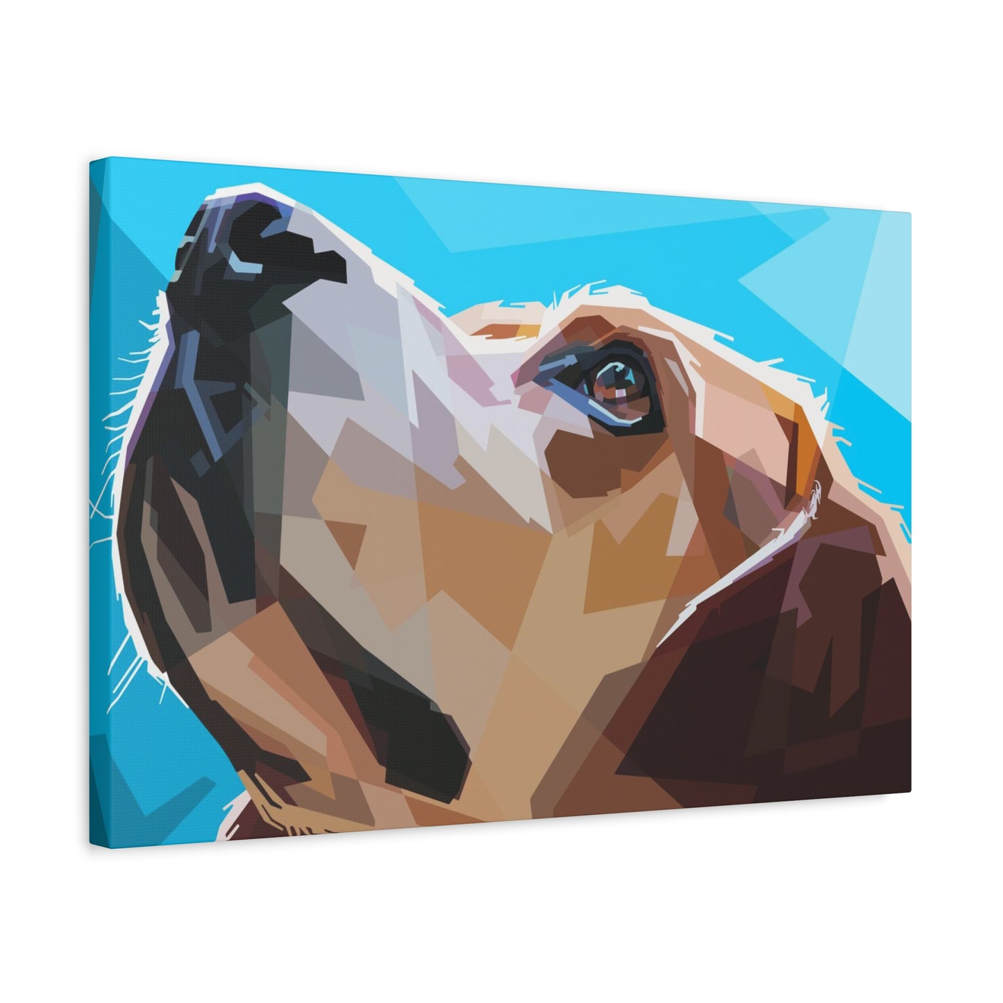 Pop Wall Art & Canvas Prints