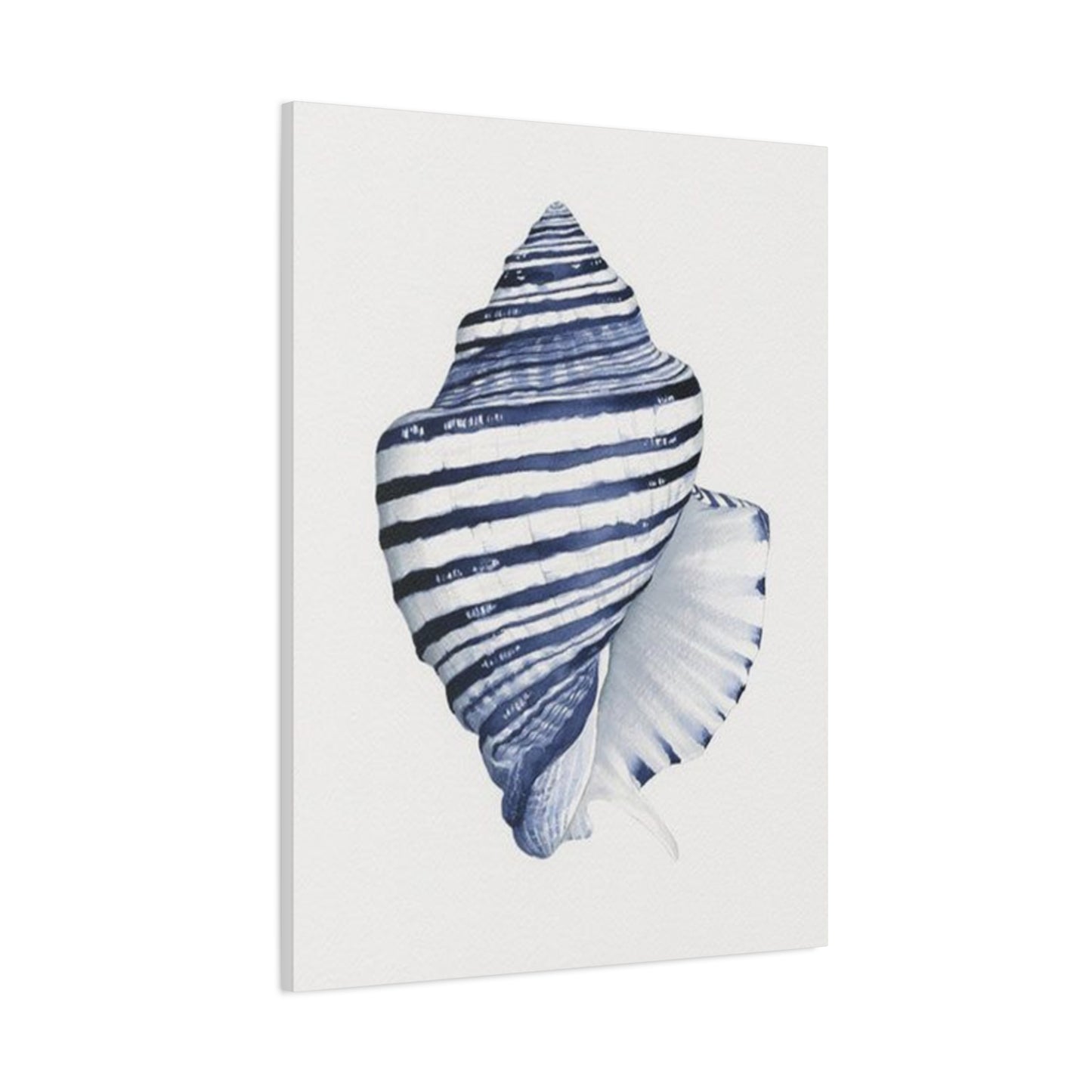 Blue & White Shell Drawing Wall Art & Canvas Prints