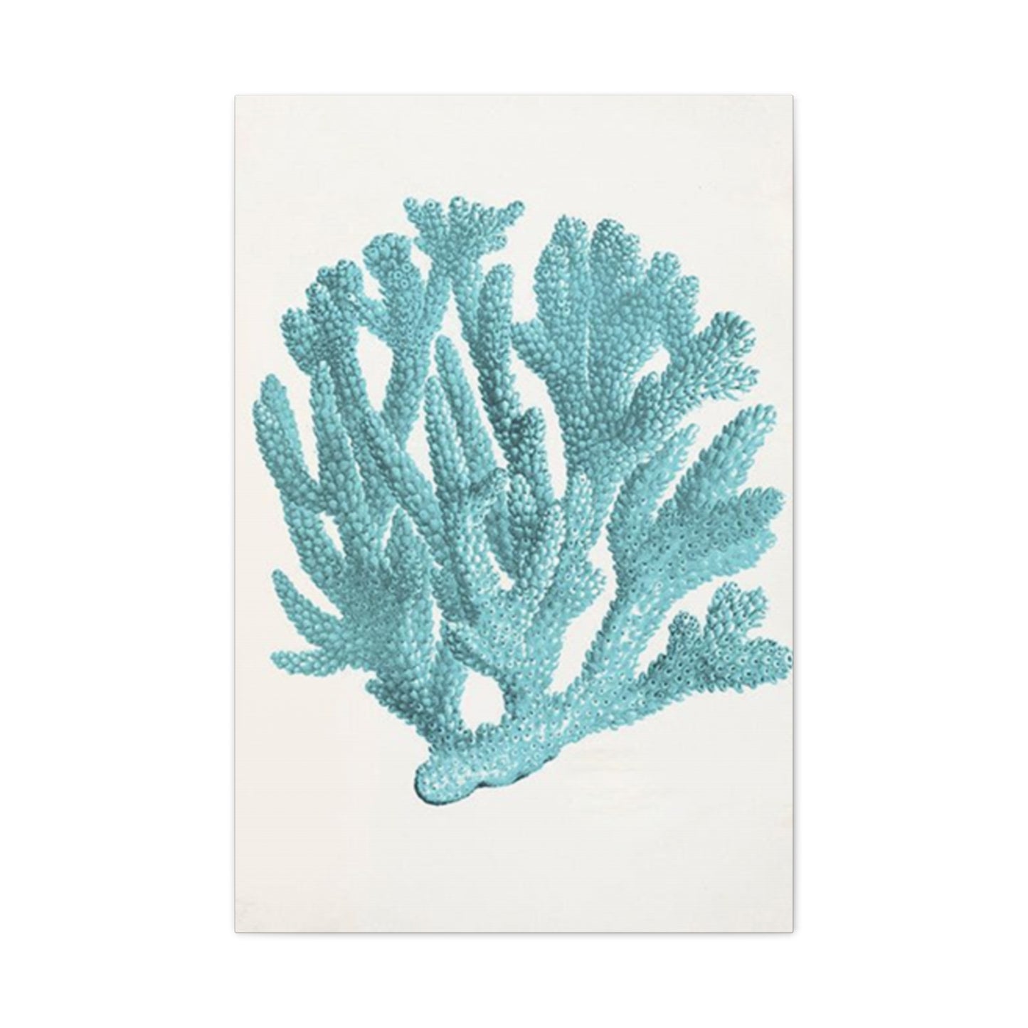 Blue Sea Herb Drawing Wall Art & Canvas Prints
