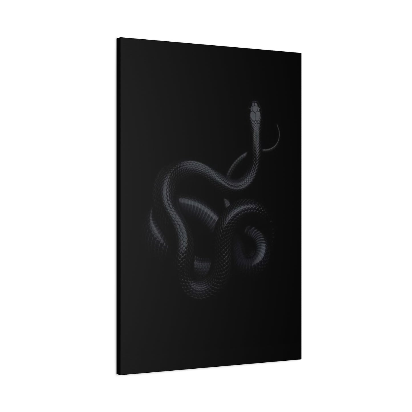 Black Snake's Poster Wall Art & Canvas Prints