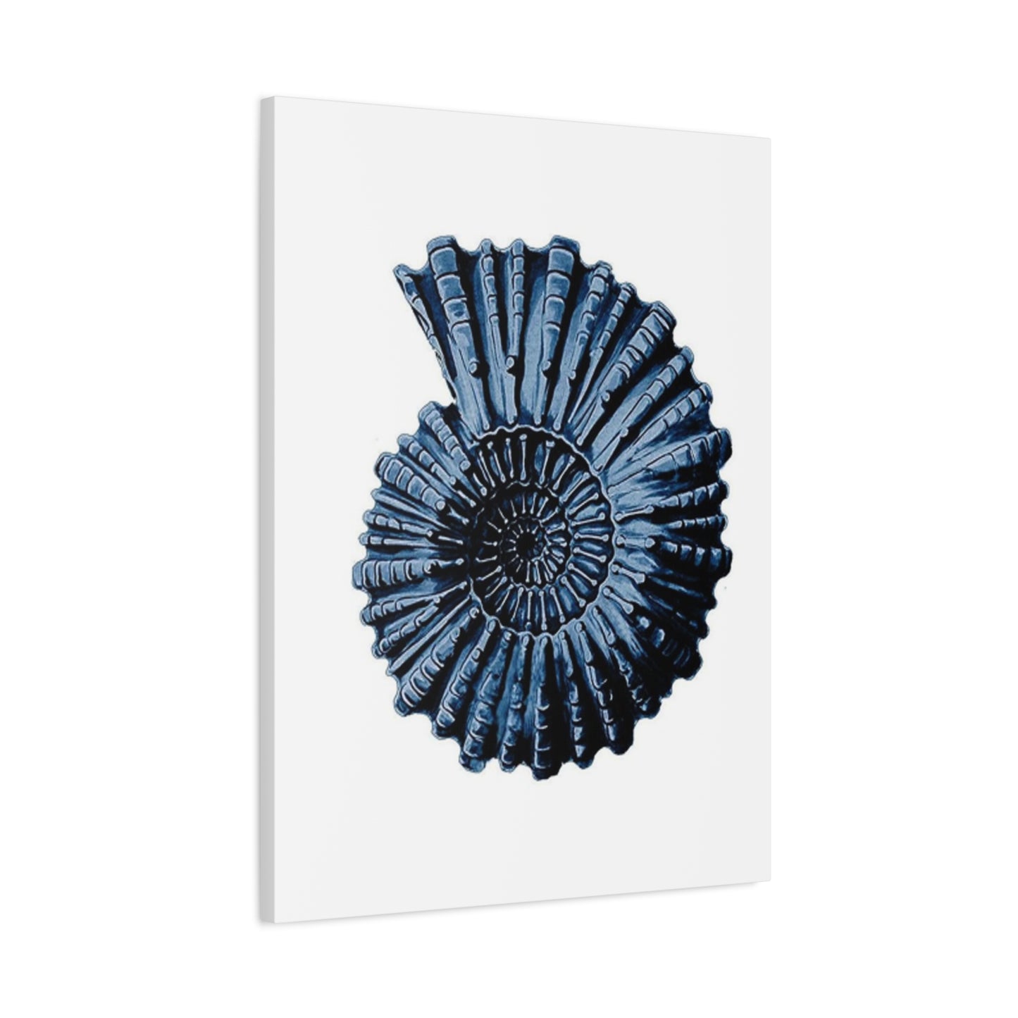 Beautiful Blue Shell Shape Poster Wall Art & Canvas Prints