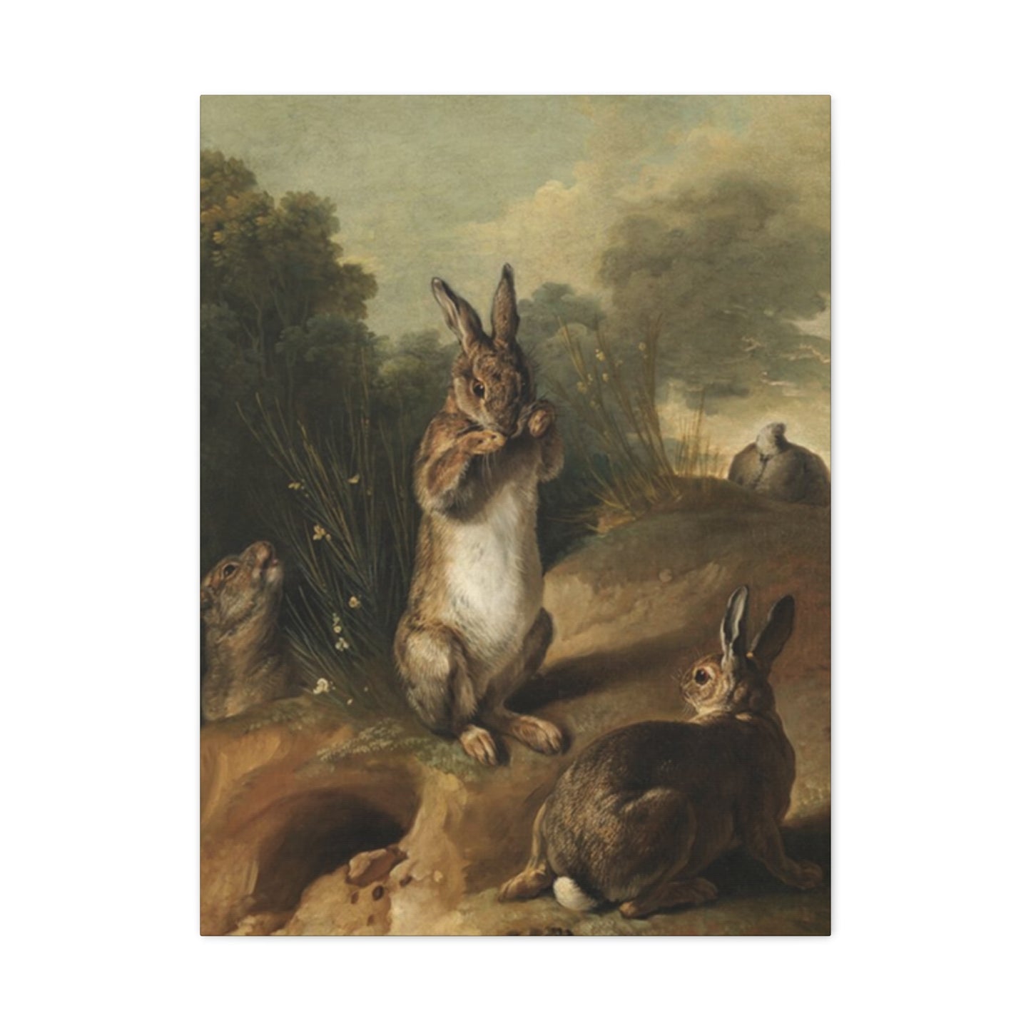 Rabbit In Wild Painting Wall Art & Canvas Prints