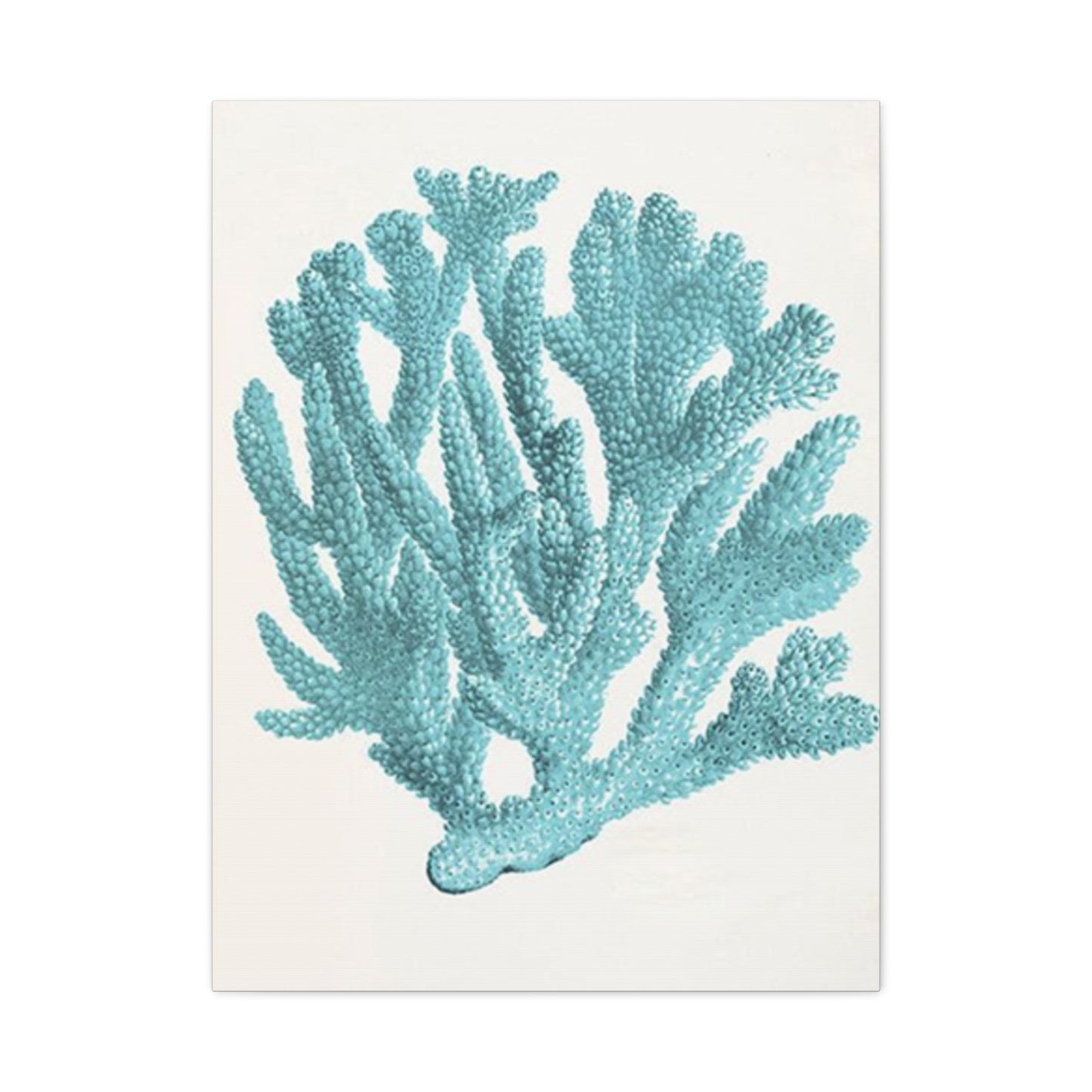 Blue Sea Herb Drawing Wall Art & Canvas Prints