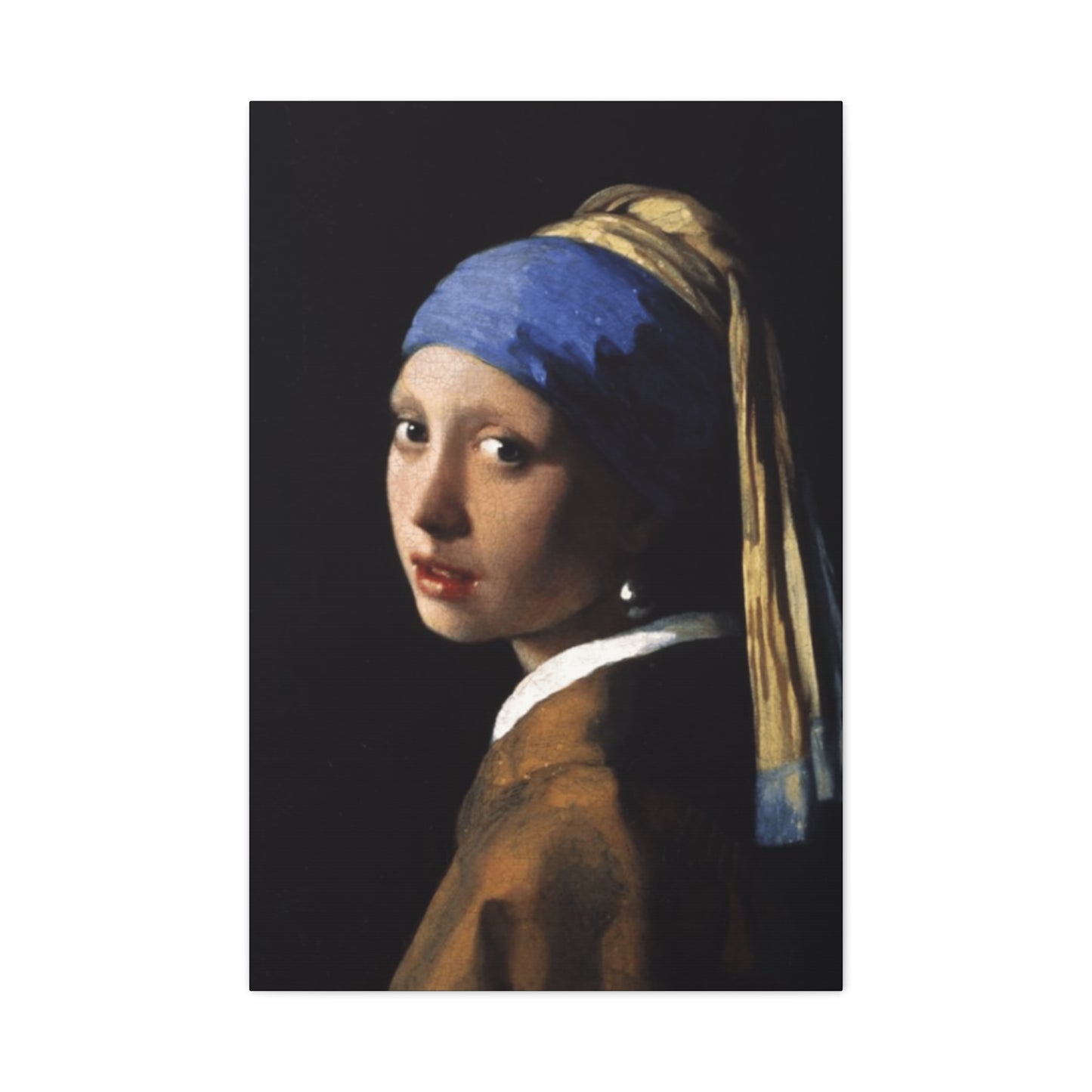 Girl With A Pearl Earring Portrait Wall Art & Canvas Prints
