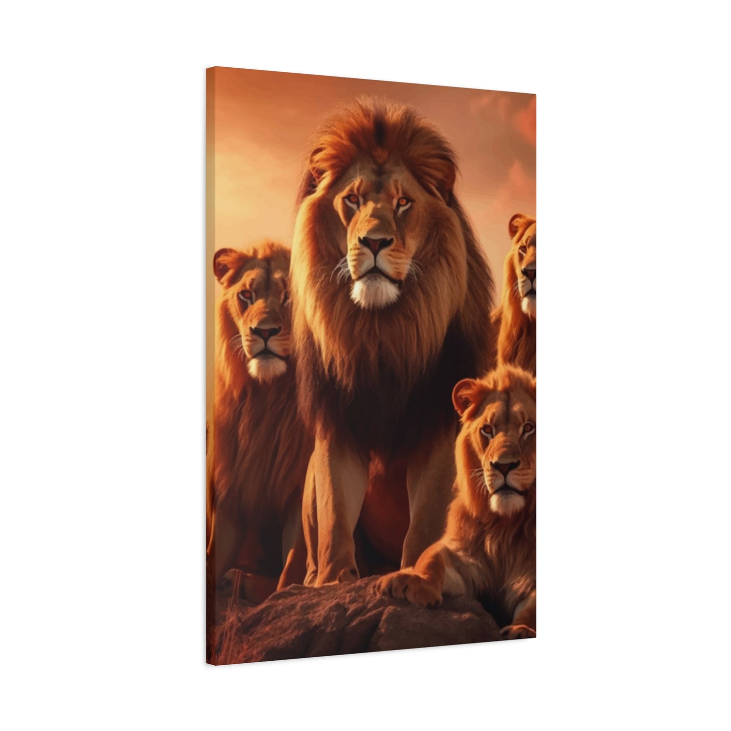 Pride of Lion Wall Art & Canvas Prints