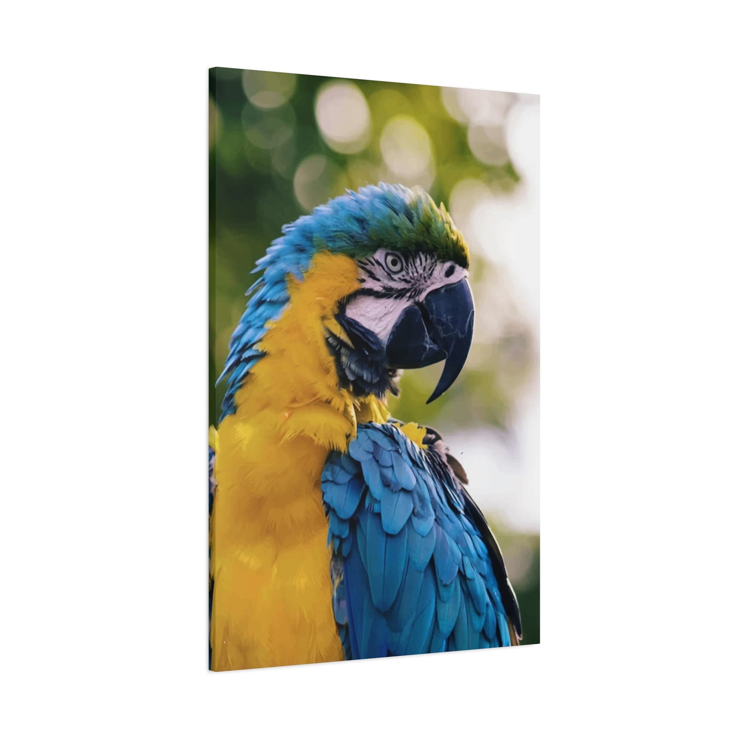 Bird Wall Art & Canvas Prints
