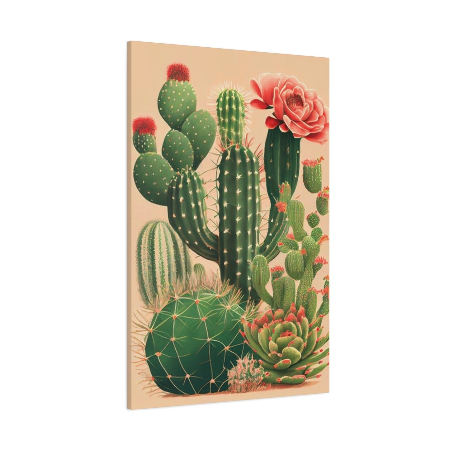 Cacti and Cacti Flowers Wall Art & Canvas Prints