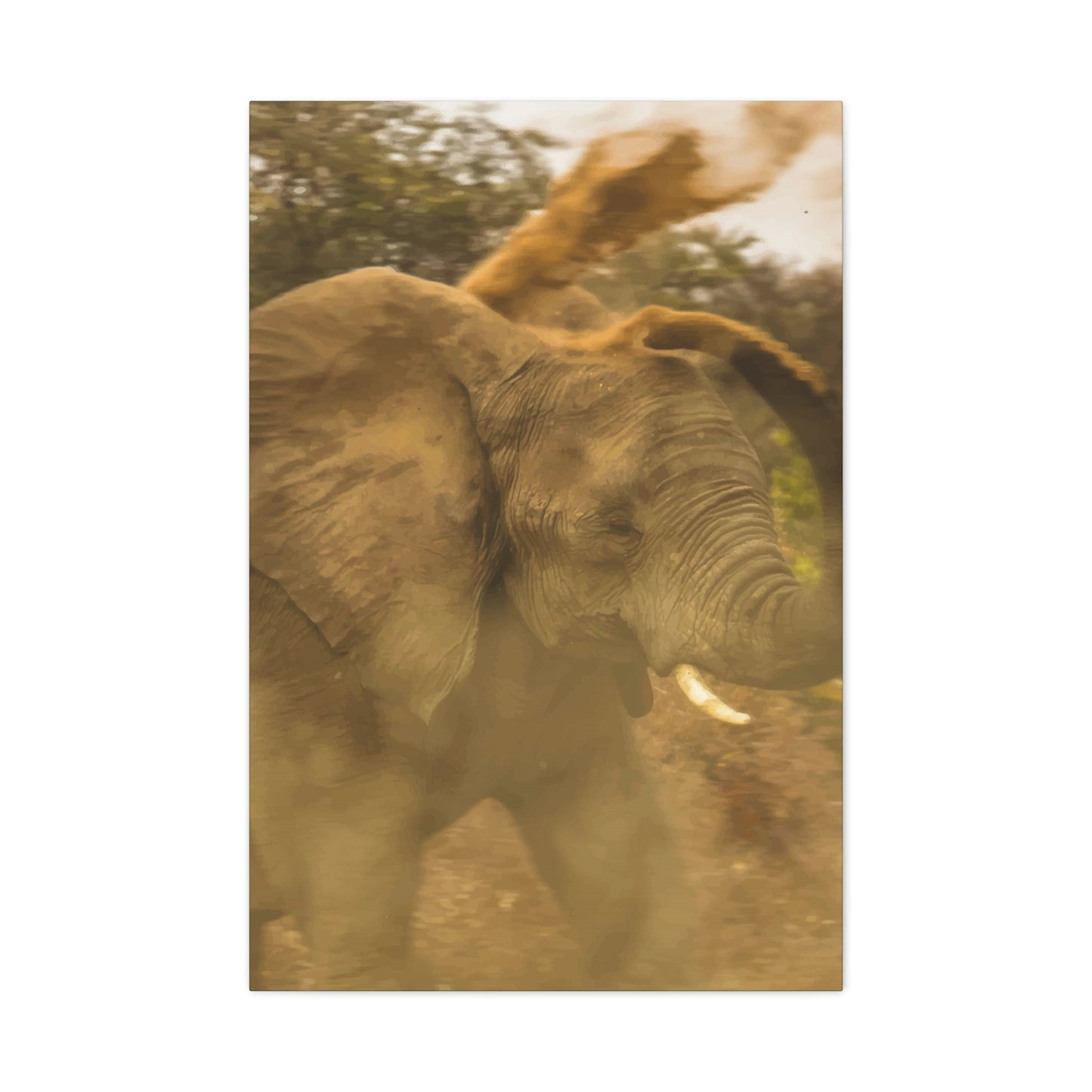 Elephant Wall Art & Canvas Prints