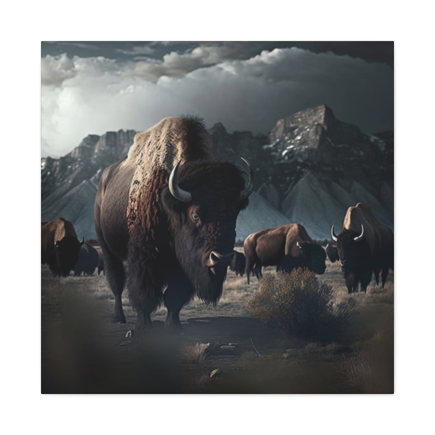 Mountain Bisons Wall Art & Canvas Prints