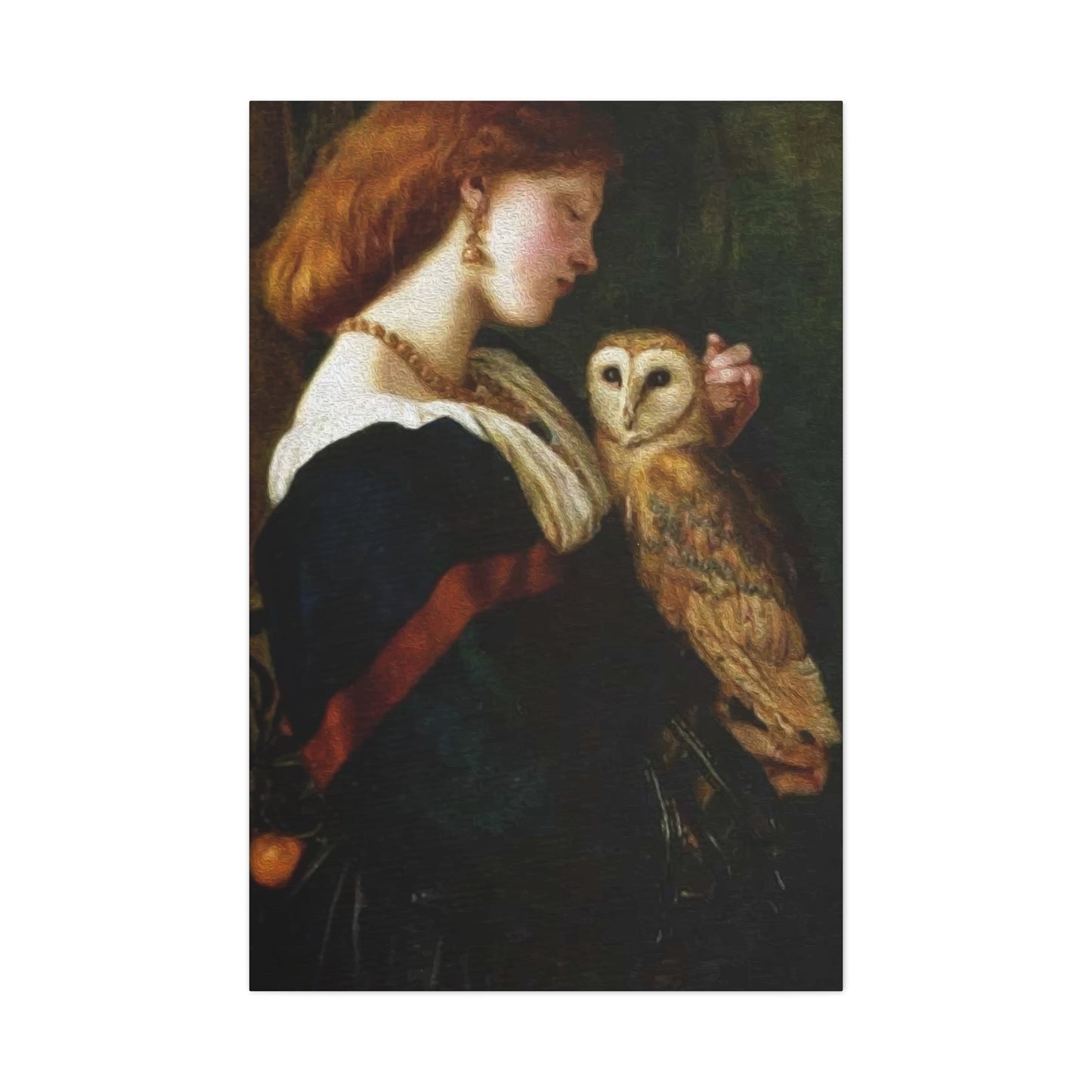 Beautiful Lady With Owl Art Wall Art & Canvas Prints