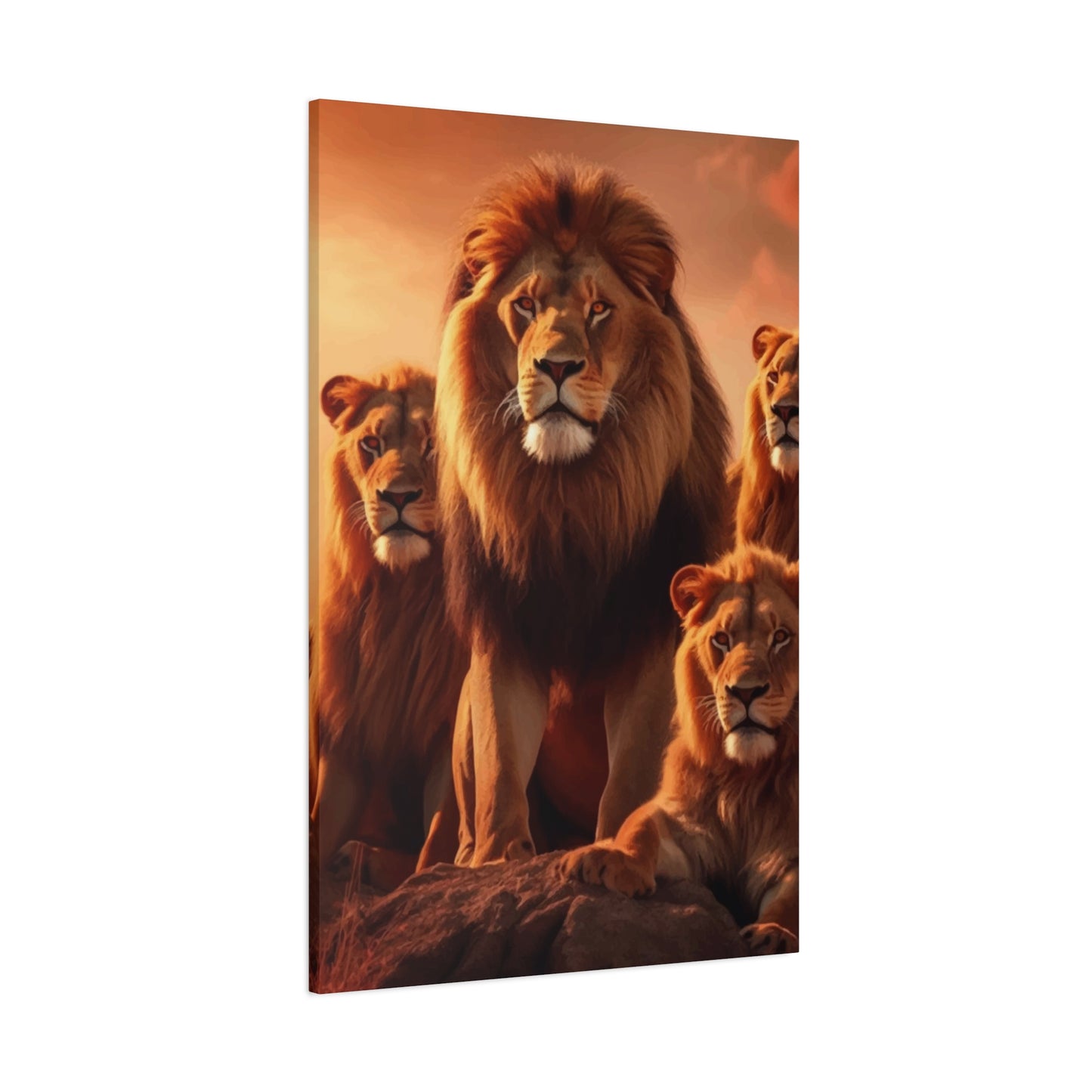 Pride of Lion Wall Art & Canvas Prints