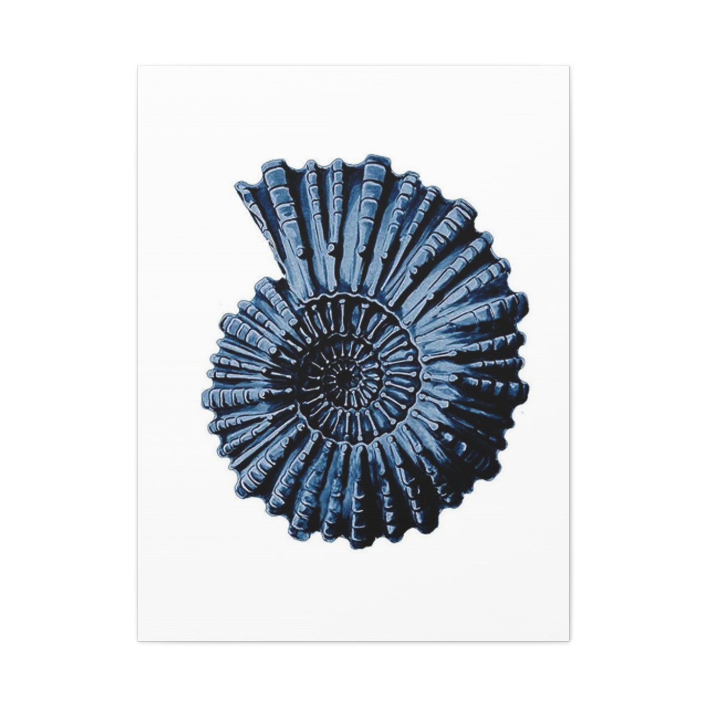 Beautiful Blue Shell Shape Poster Wall Art & Canvas Prints