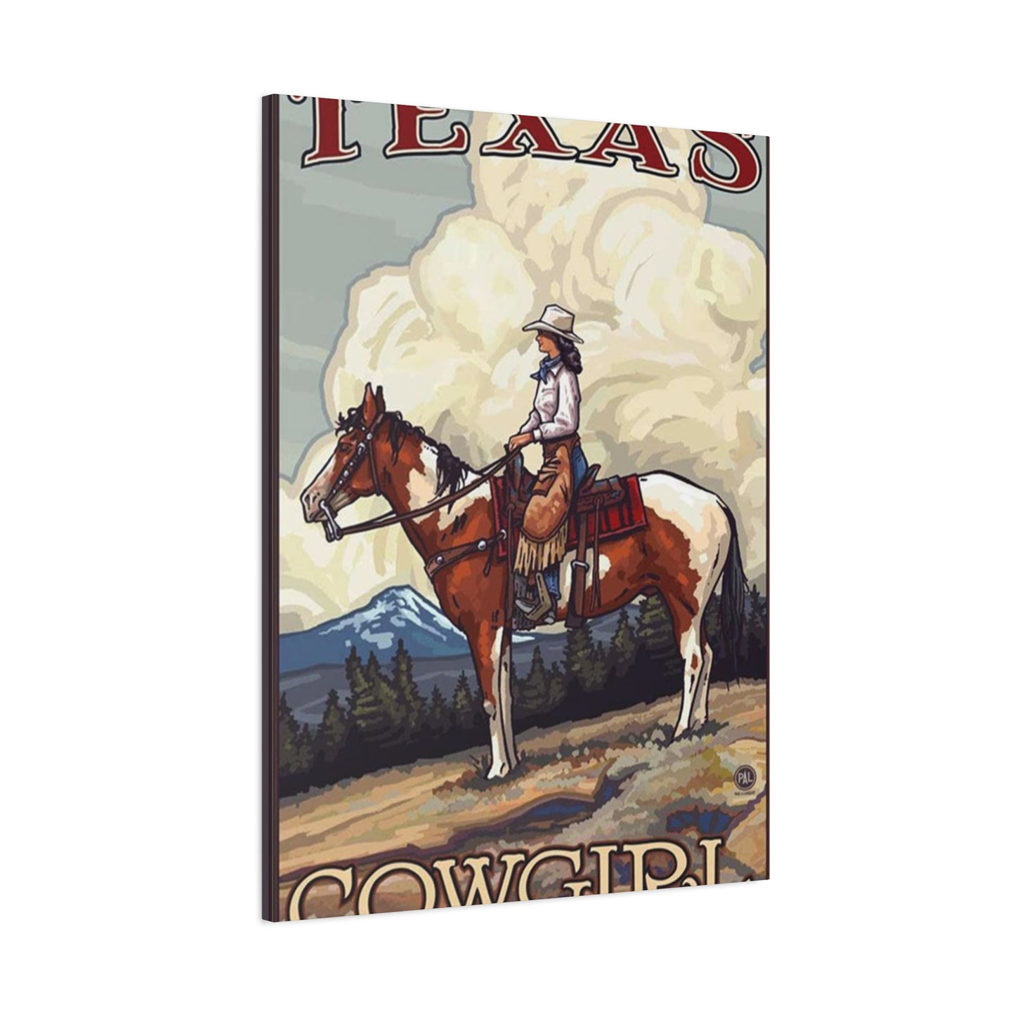 Texas Cowgirl Wall Art & Canvas Prints