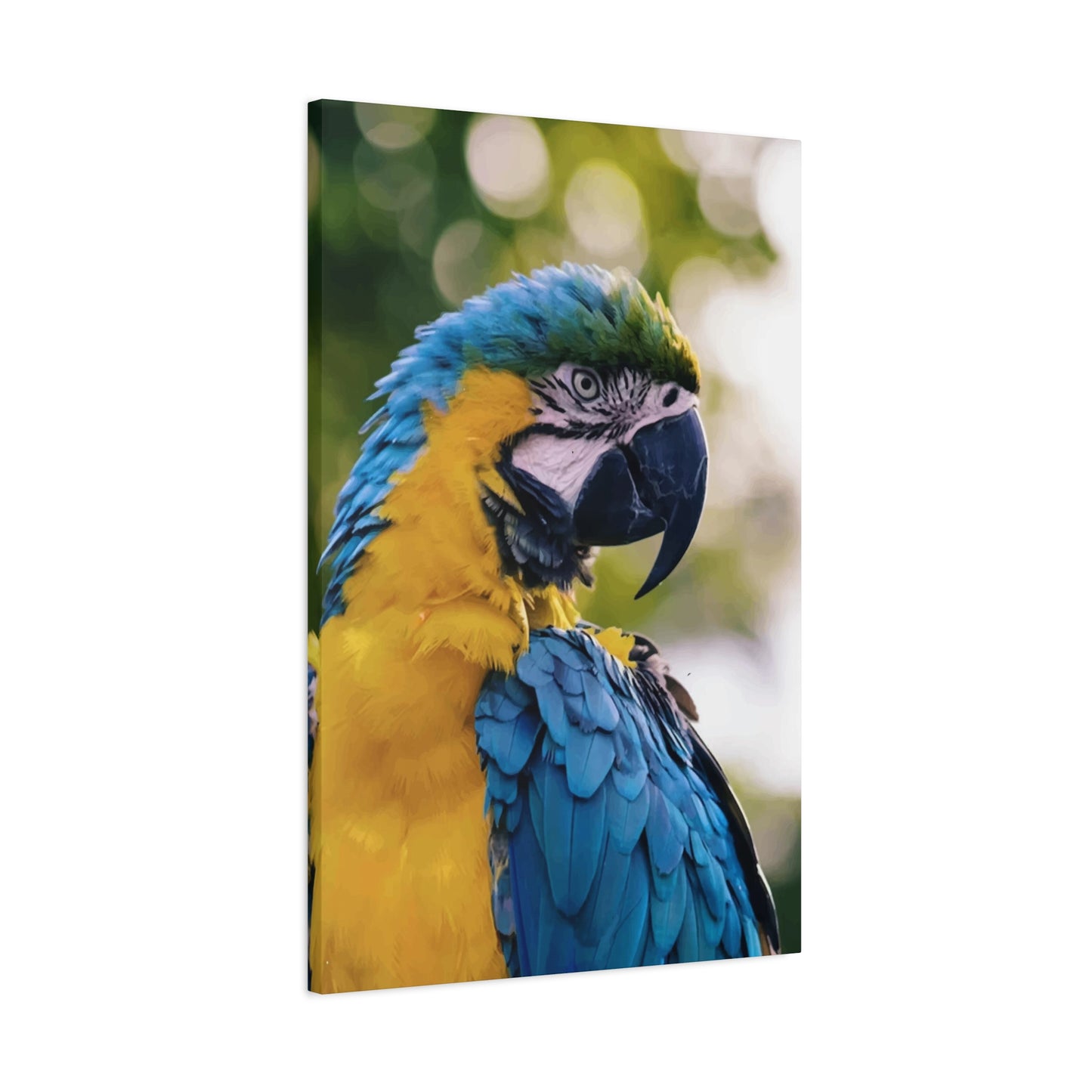 Bird Wall Art & Canvas Prints