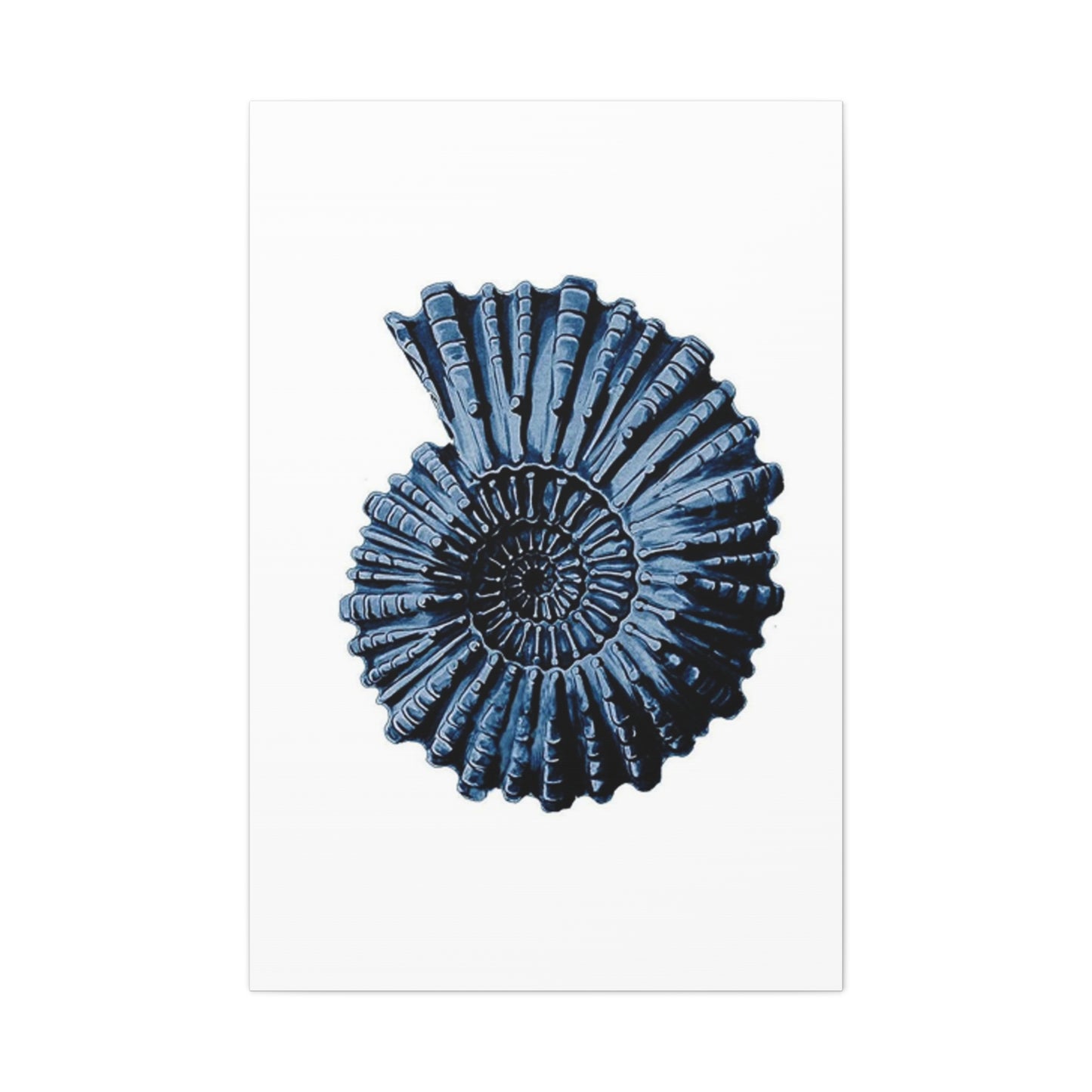 Beautiful Blue Shell Shape Poster Wall Art & Canvas Prints