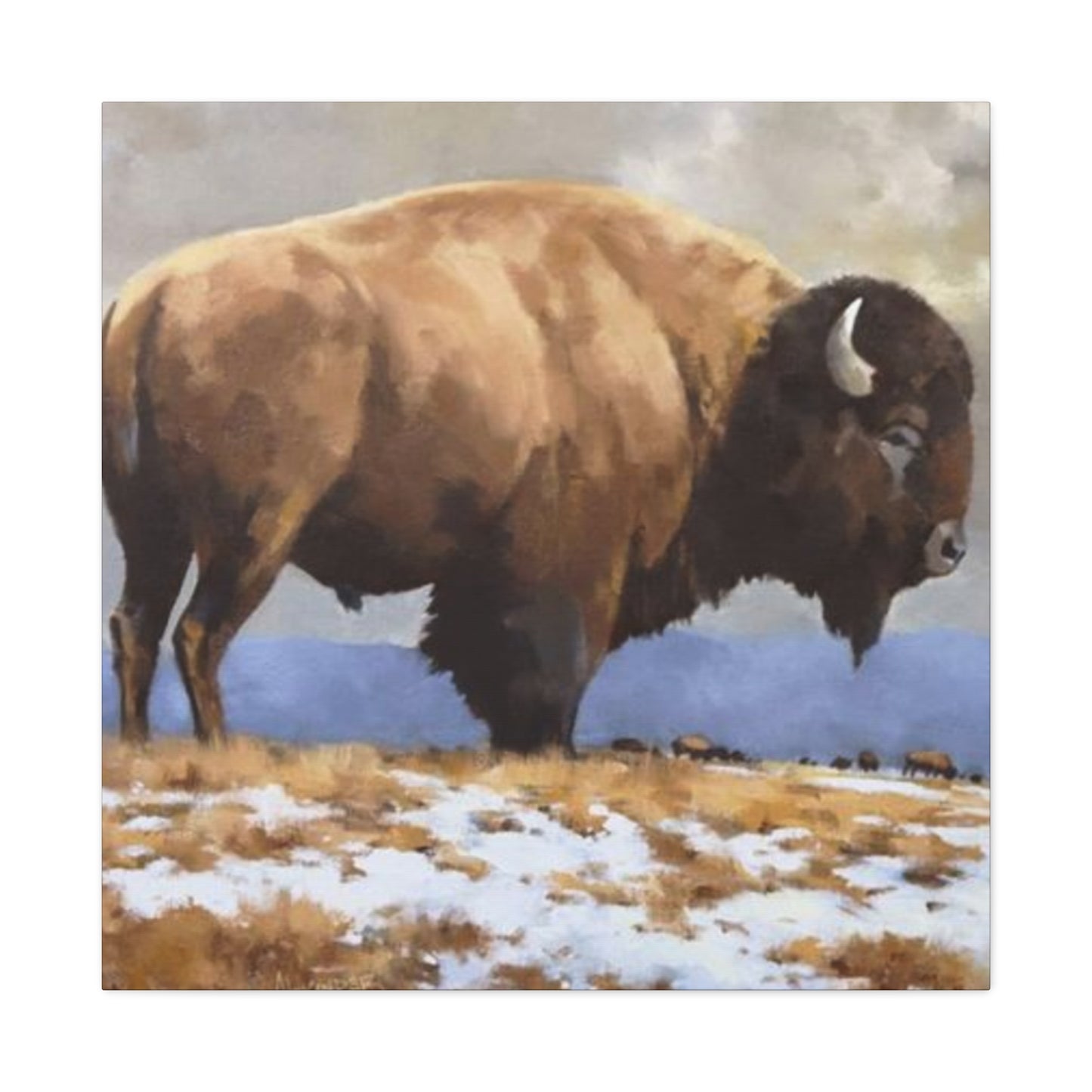 Old Bison Wall Art & Canvas Prints
