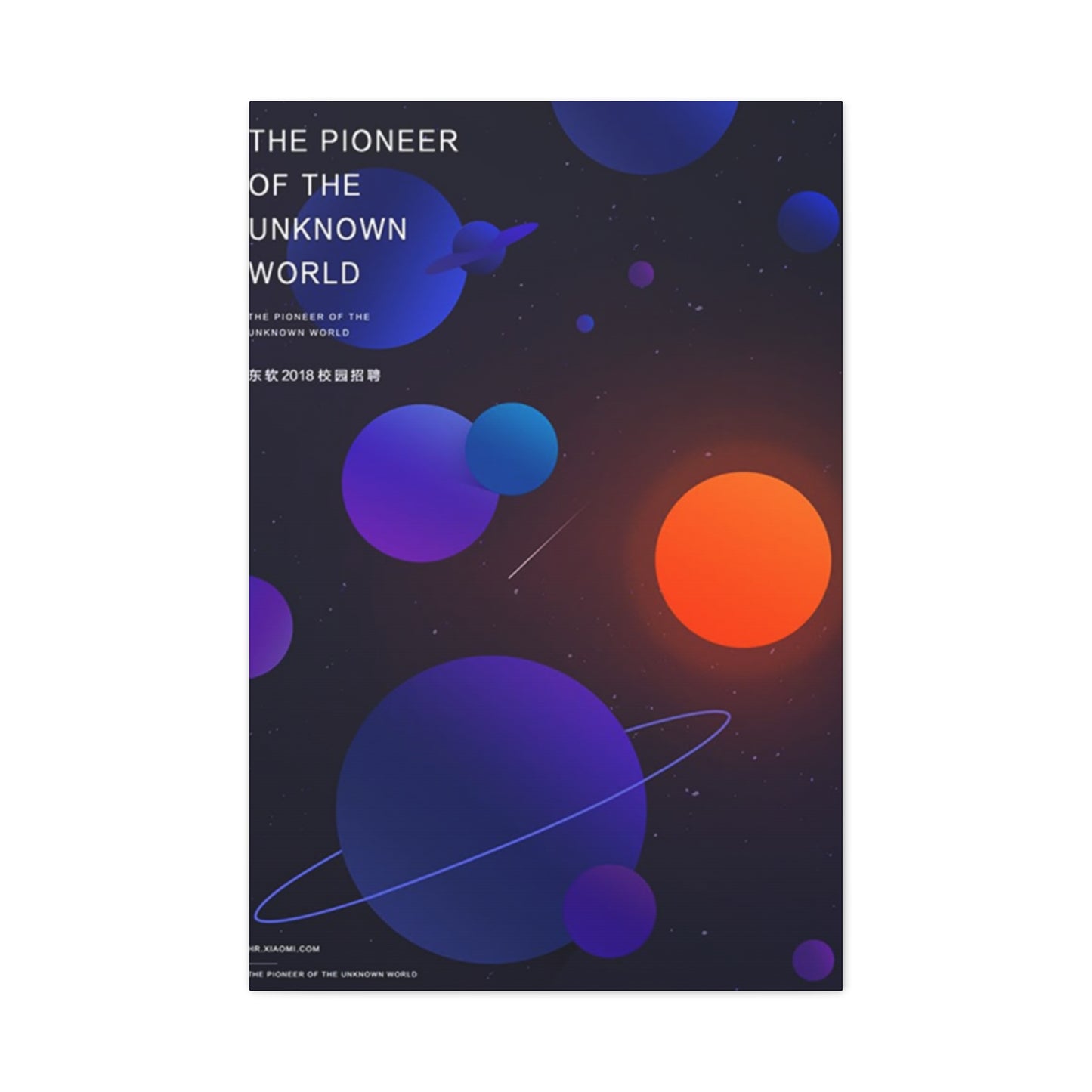 Pioneer Of The Unknown World Wall Art & Canvas Prints
