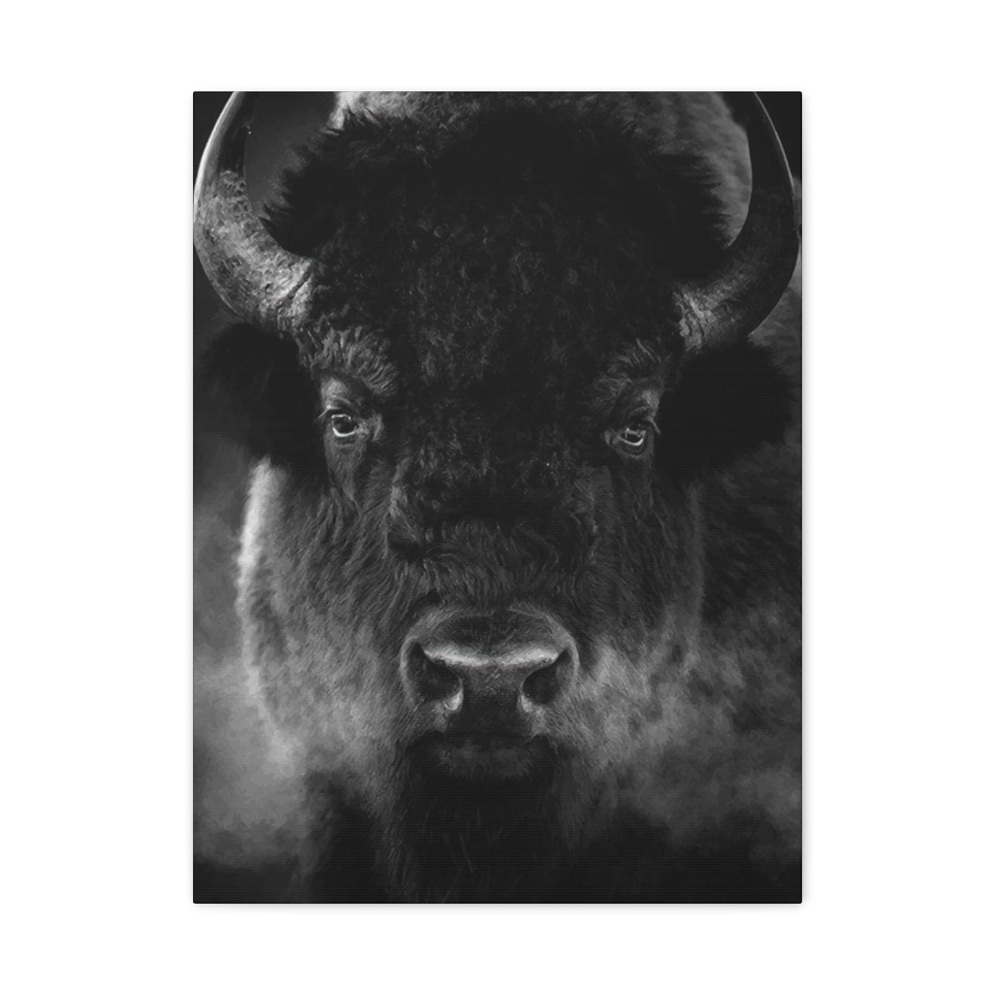 Bison Wall Art & Canvas Prints