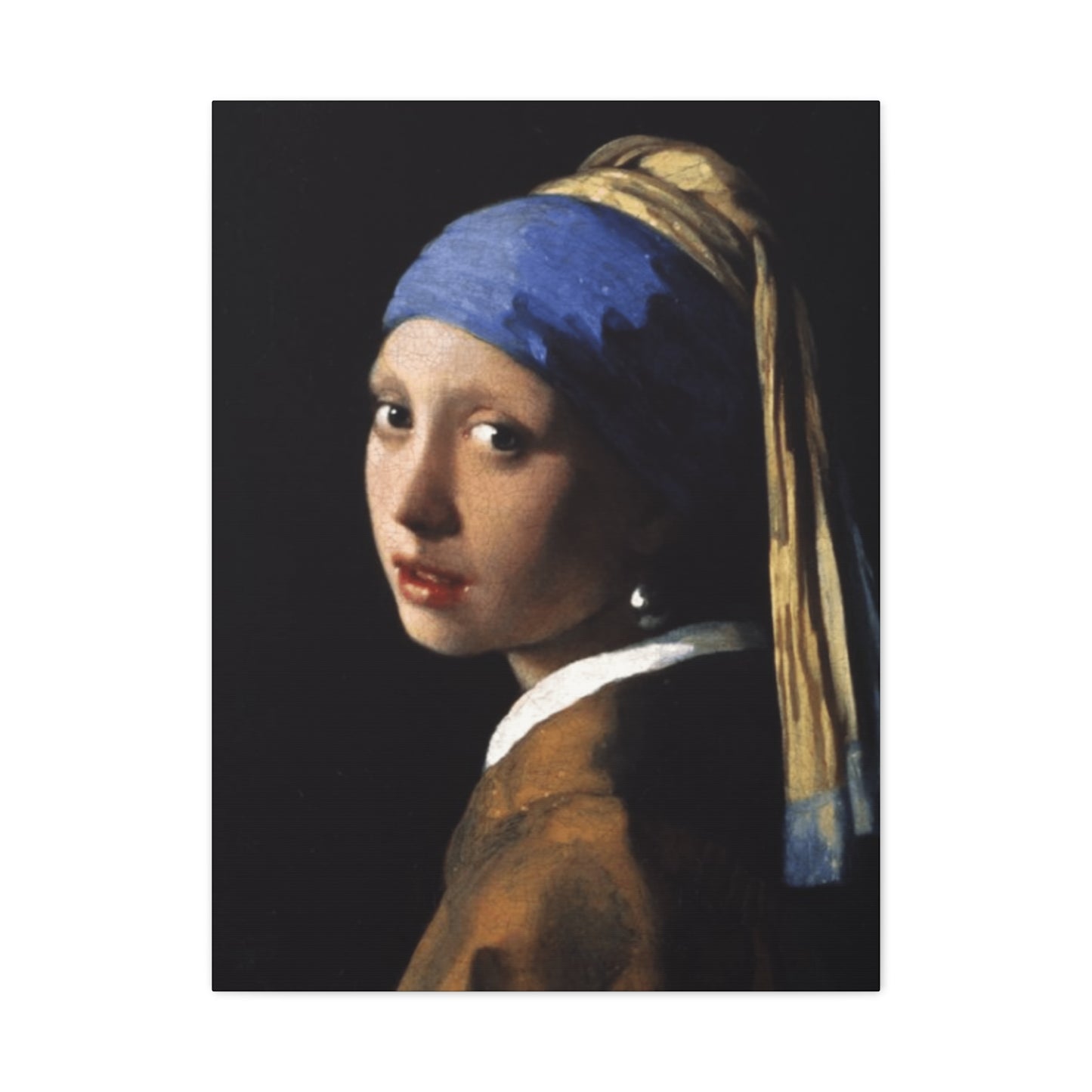Girl With A Pearl Earring Portrait Wall Art & Canvas Prints