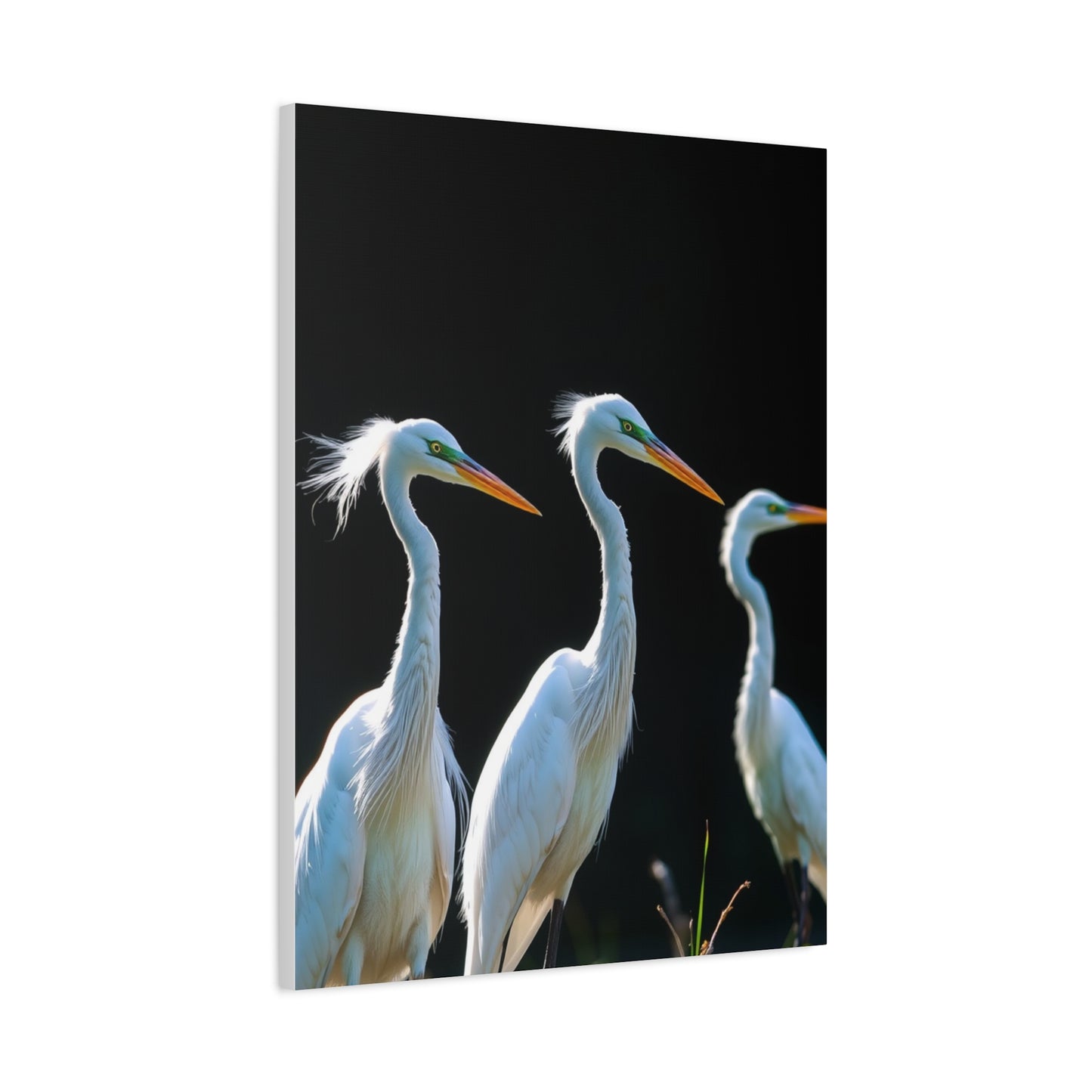 Vision Herons and Egrets Art Art Wall Art & Canvas Print