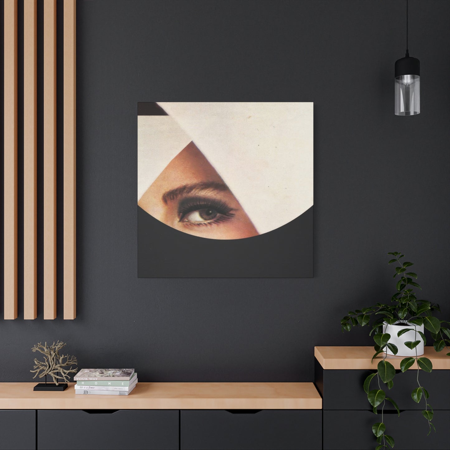 Frank Moth Mind Gazing Wall Art & Canvas Prints