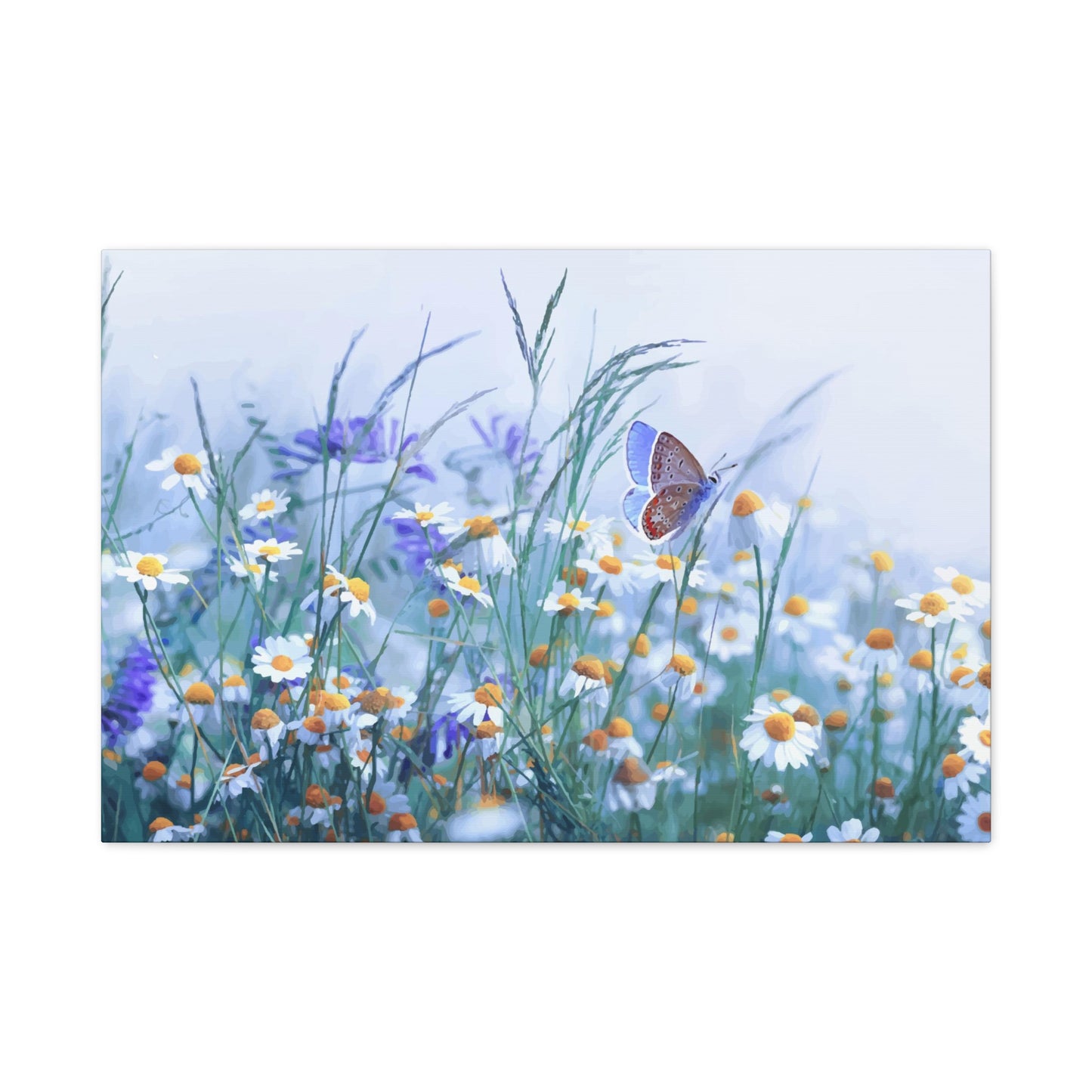 Butterfly Wall Art & Canvas Prints