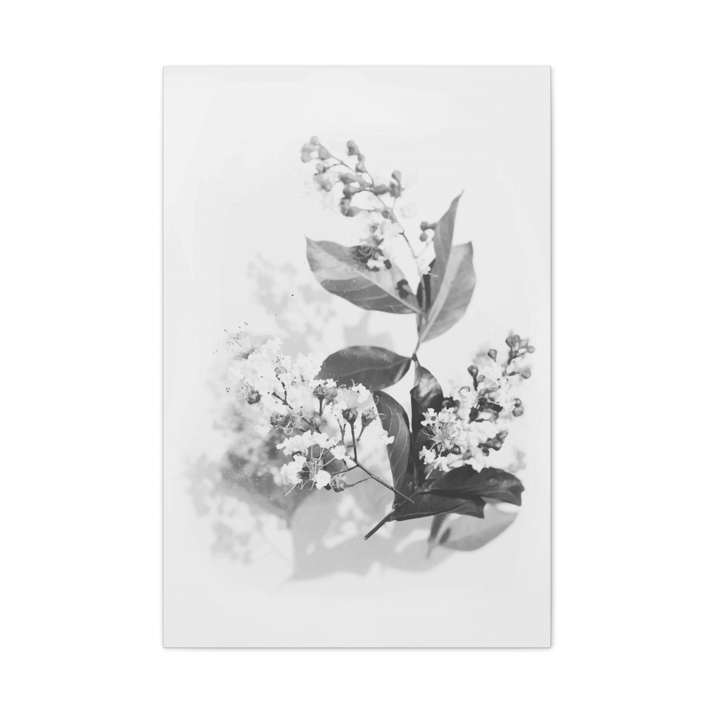 White Flora Wall Art & Canvas Prints