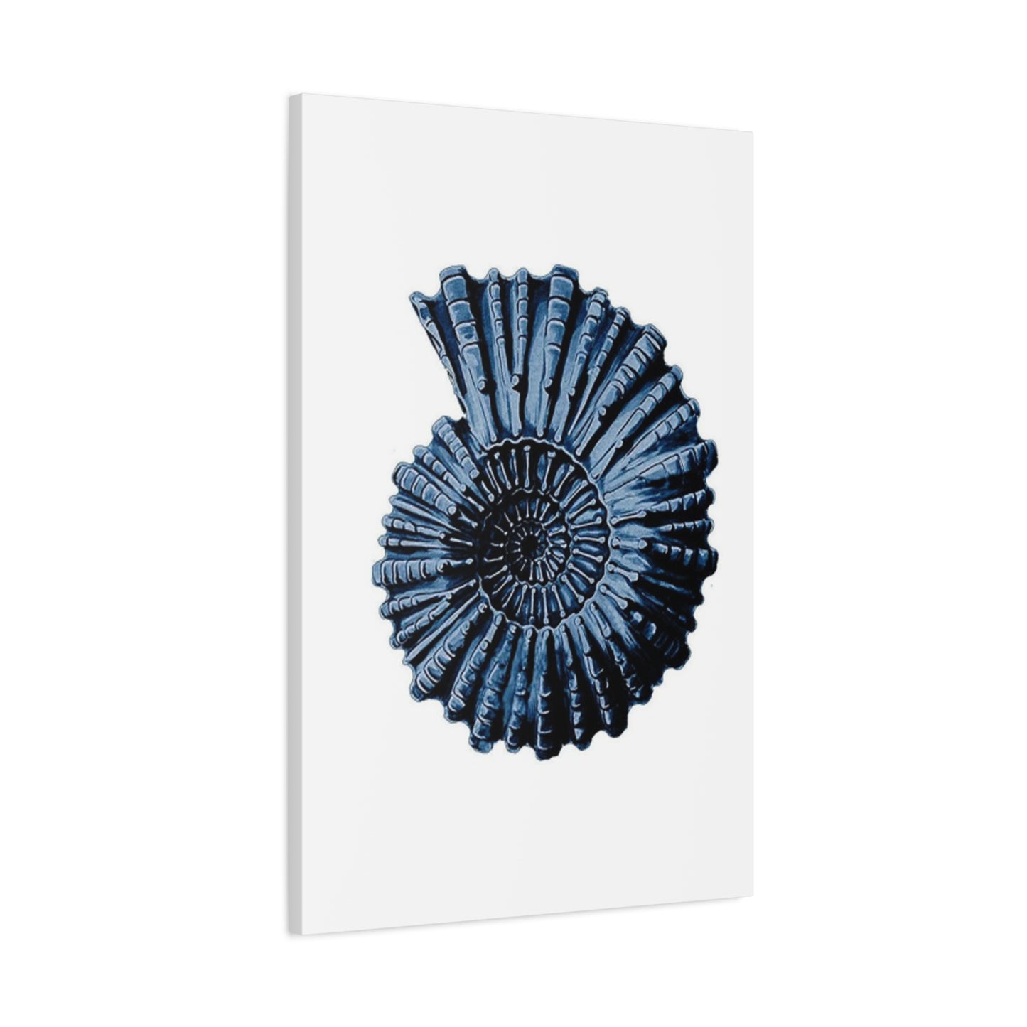 Beautiful Blue Shell Shape Poster Wall Art & Canvas Prints