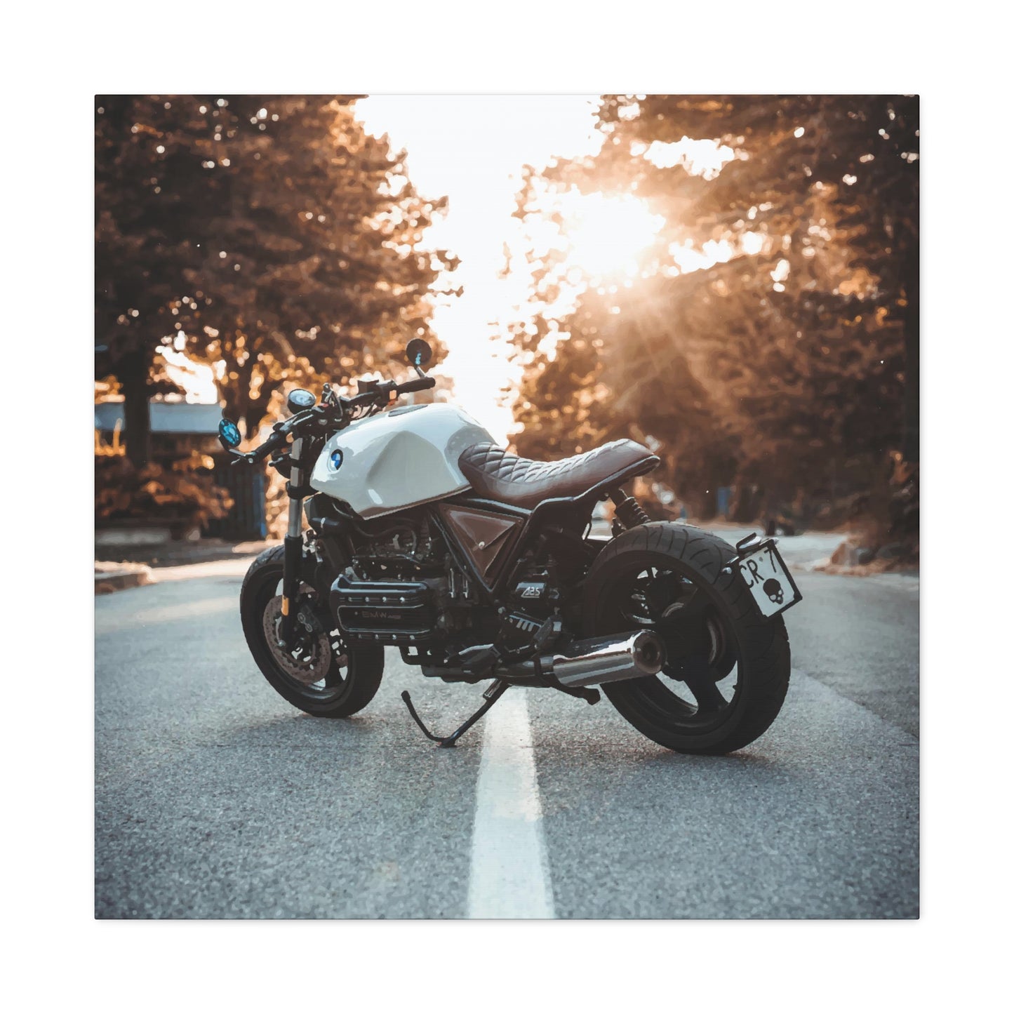 MotorBike Wall Art & Canvas Prints