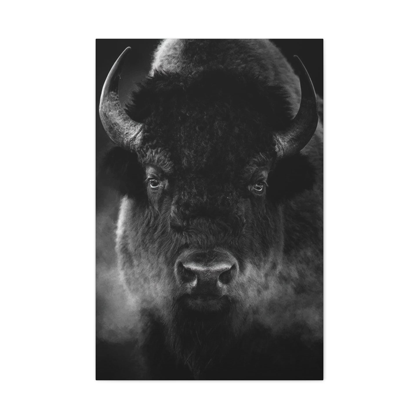 Bison Wall Art & Canvas Prints
