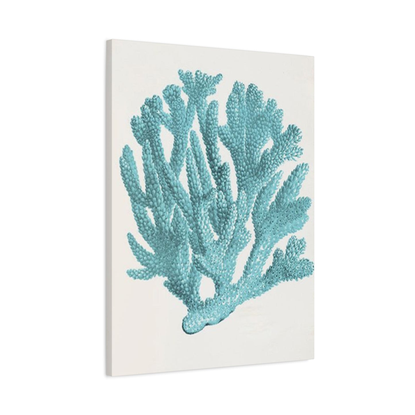 Blue Sea Herb Drawing Wall Art & Canvas Prints