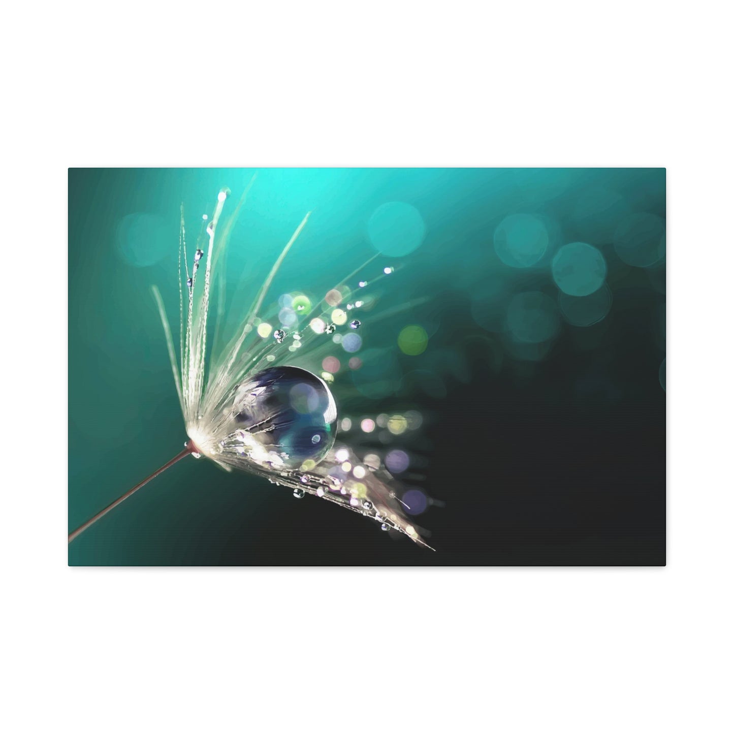 Water drops Wall Art & Canvas Prints