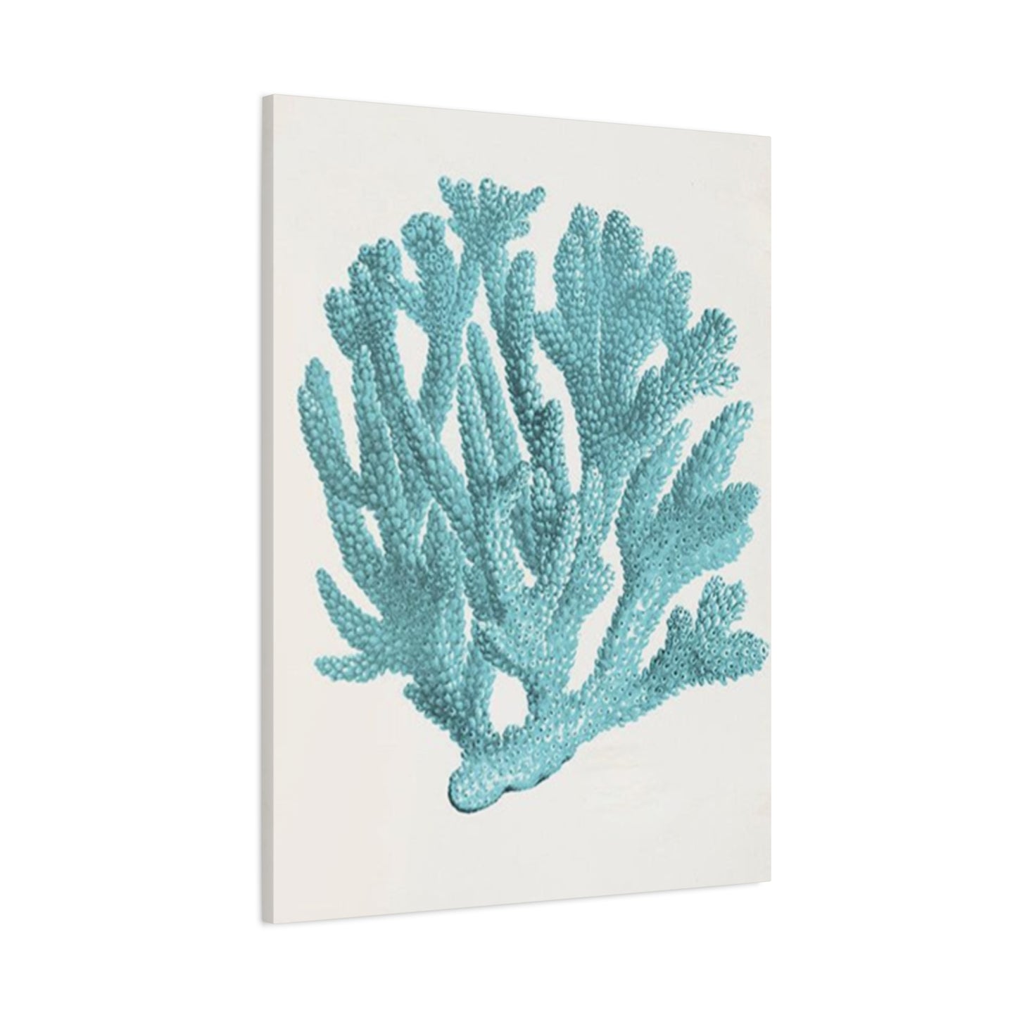 Blue Sea Herb Drawing Wall Art & Canvas Prints