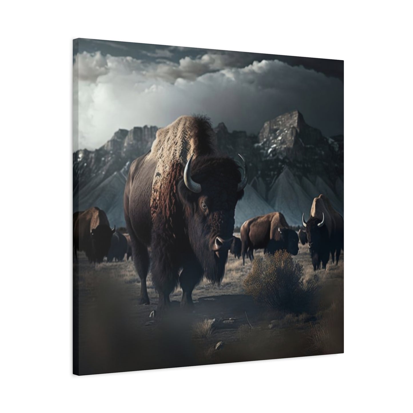 Mountain Bisons Wall Art & Canvas Prints