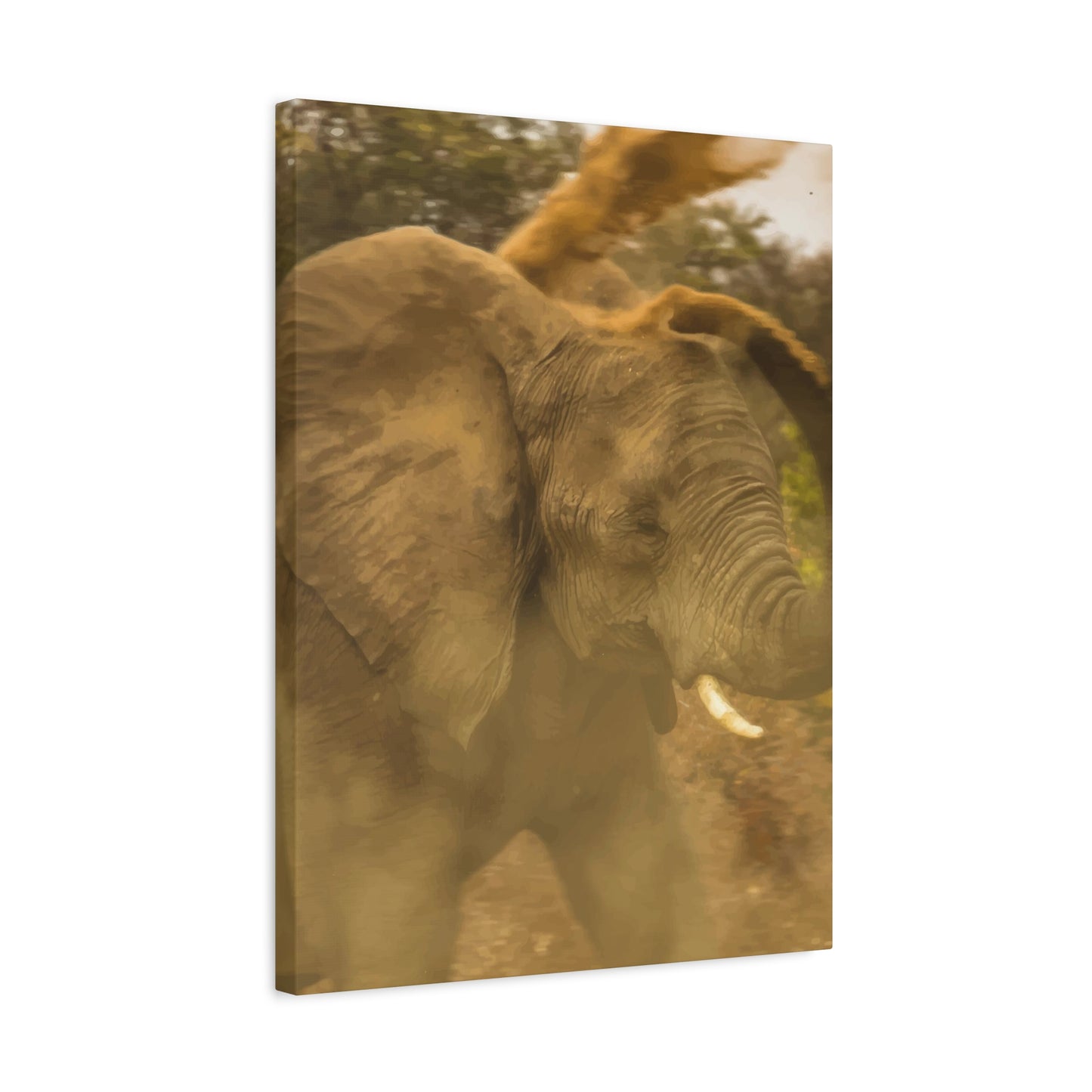 Elephant Wall Art & Canvas Prints