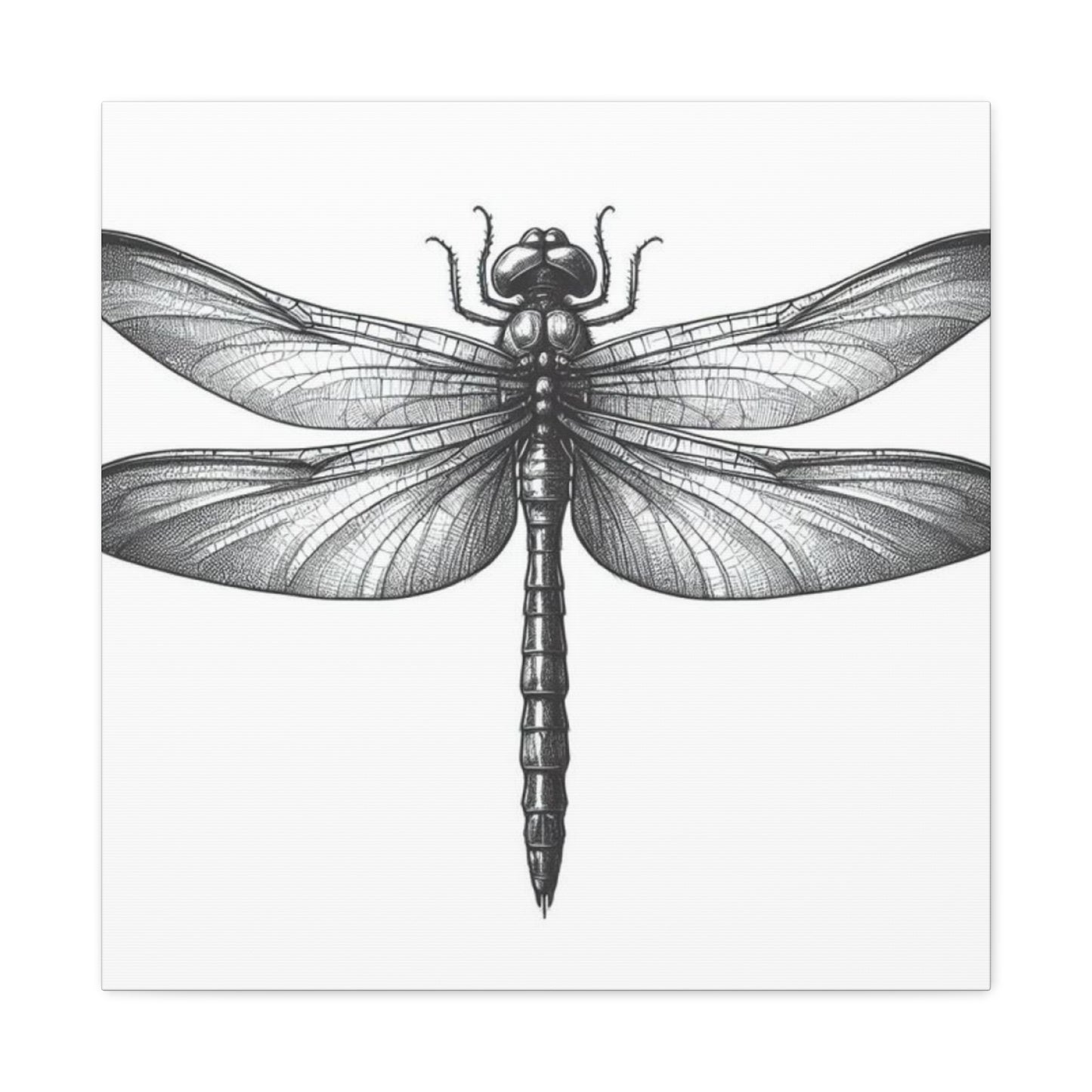 Top of Black Dragonfly Wall Art & Canvas Prints