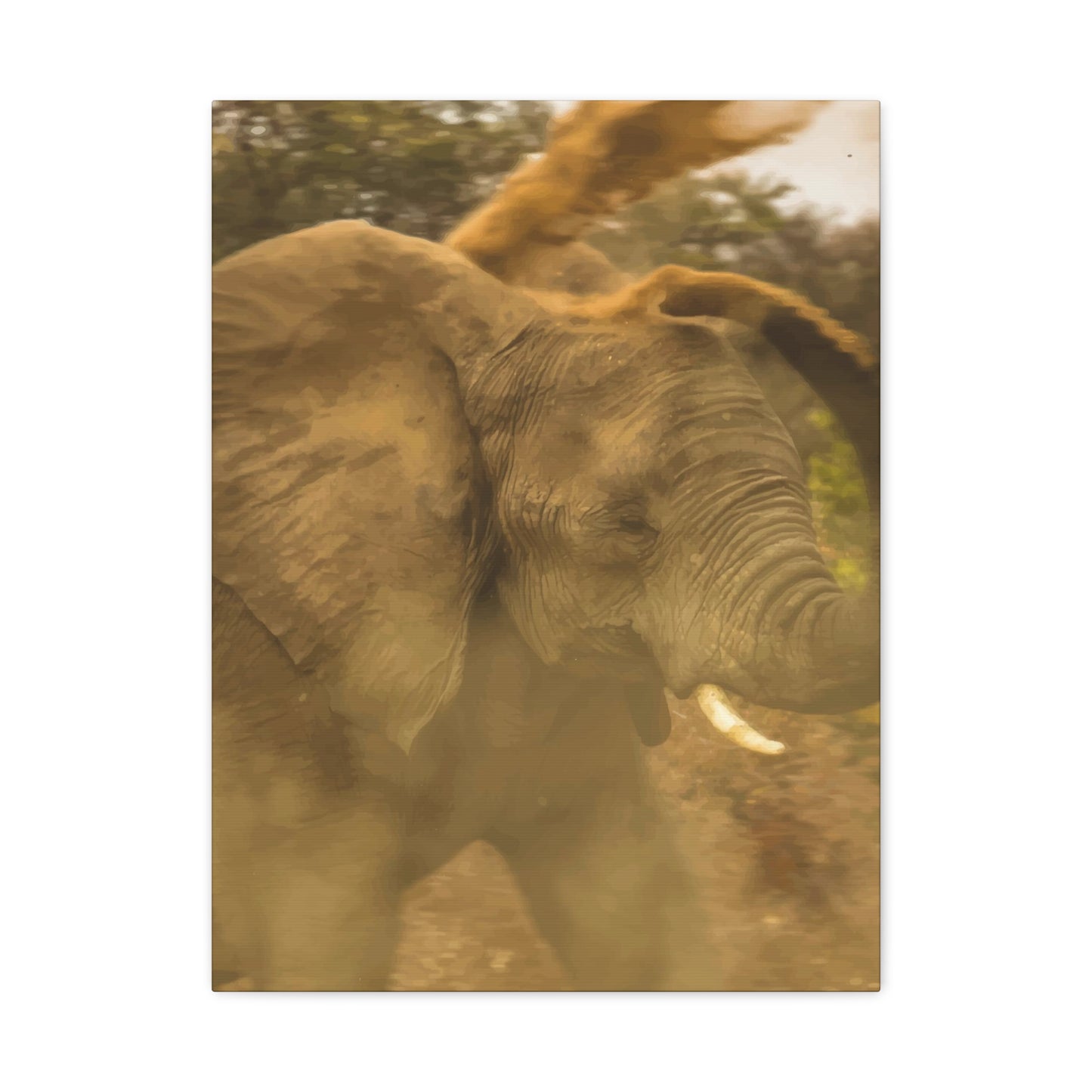 Elephant Wall Art & Canvas Prints