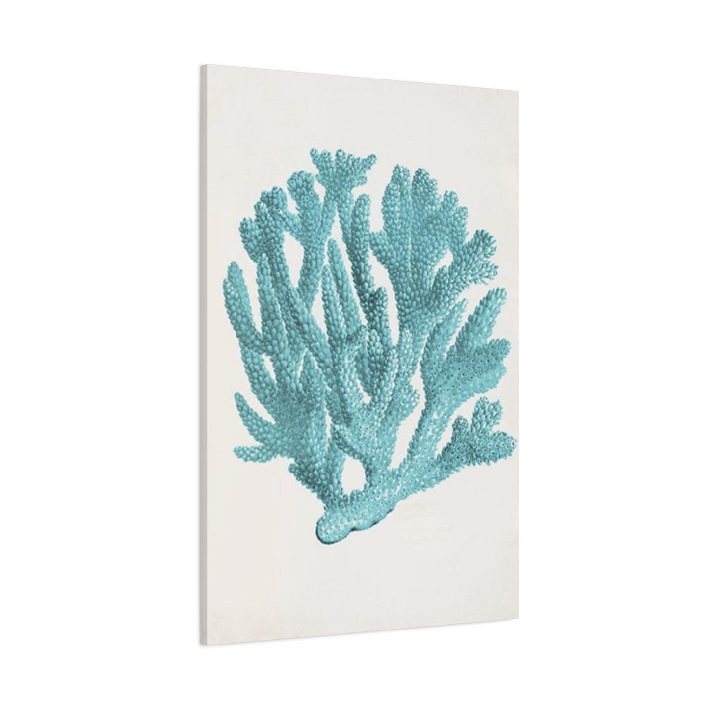 Blue Sea Herb Drawing Wall Art & Canvas Prints