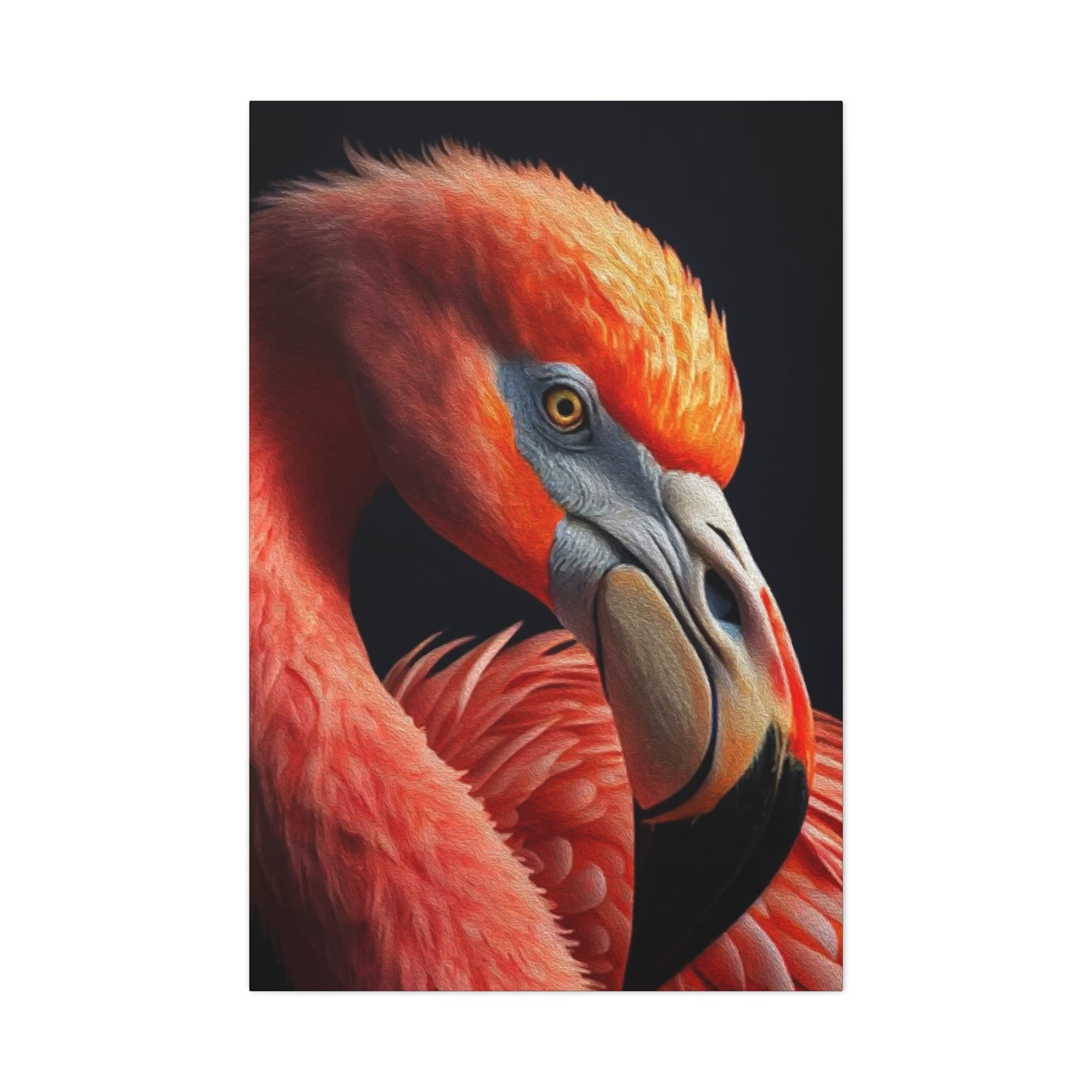 Vulture Bird Wall Art & Canvas Prints