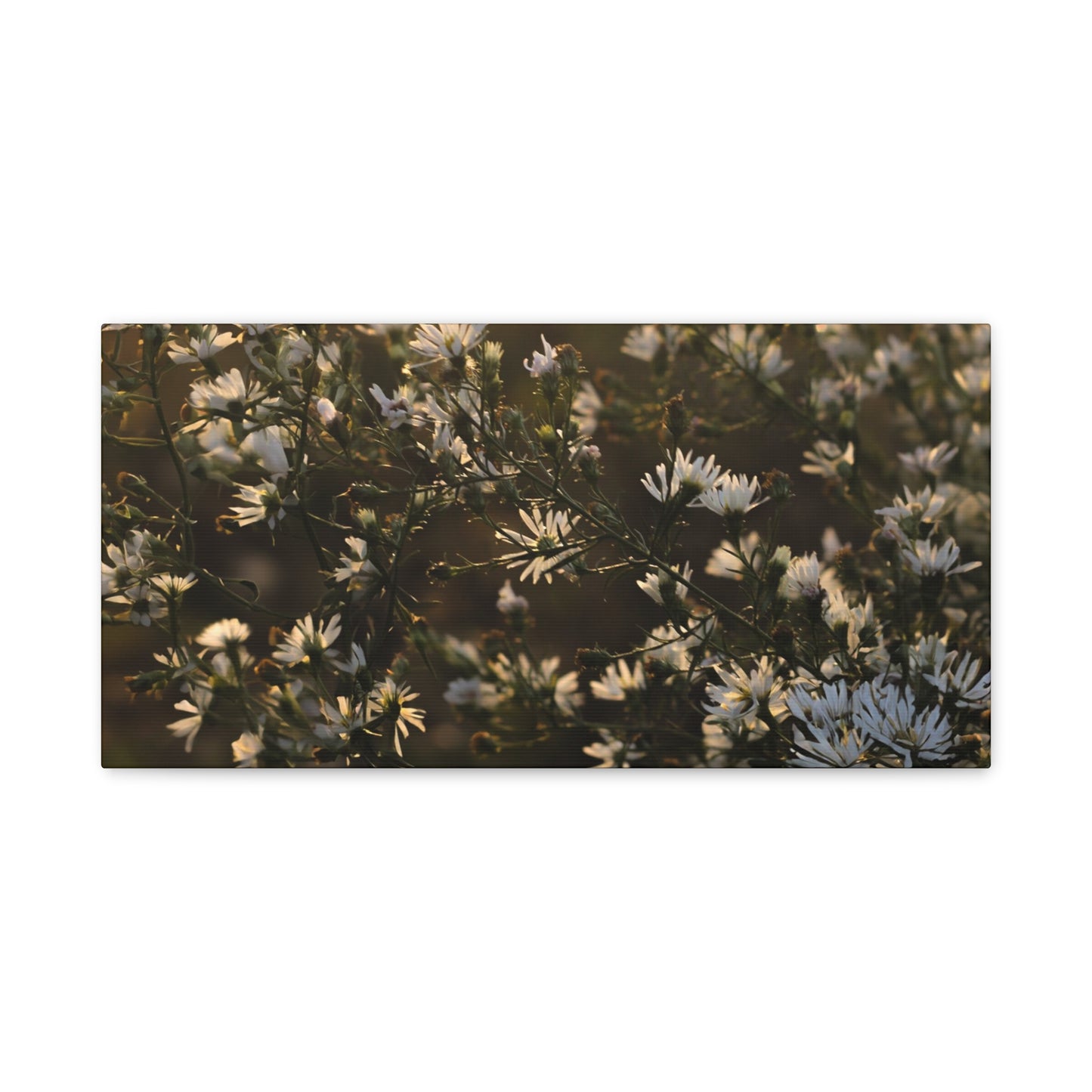White Wall Art & Canvas Prints