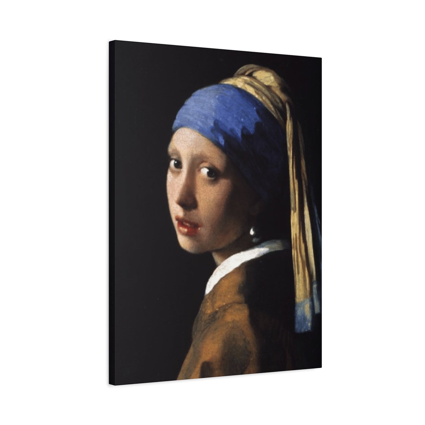 Girl With A Pearl Earring Portrait Wall Art & Canvas Prints