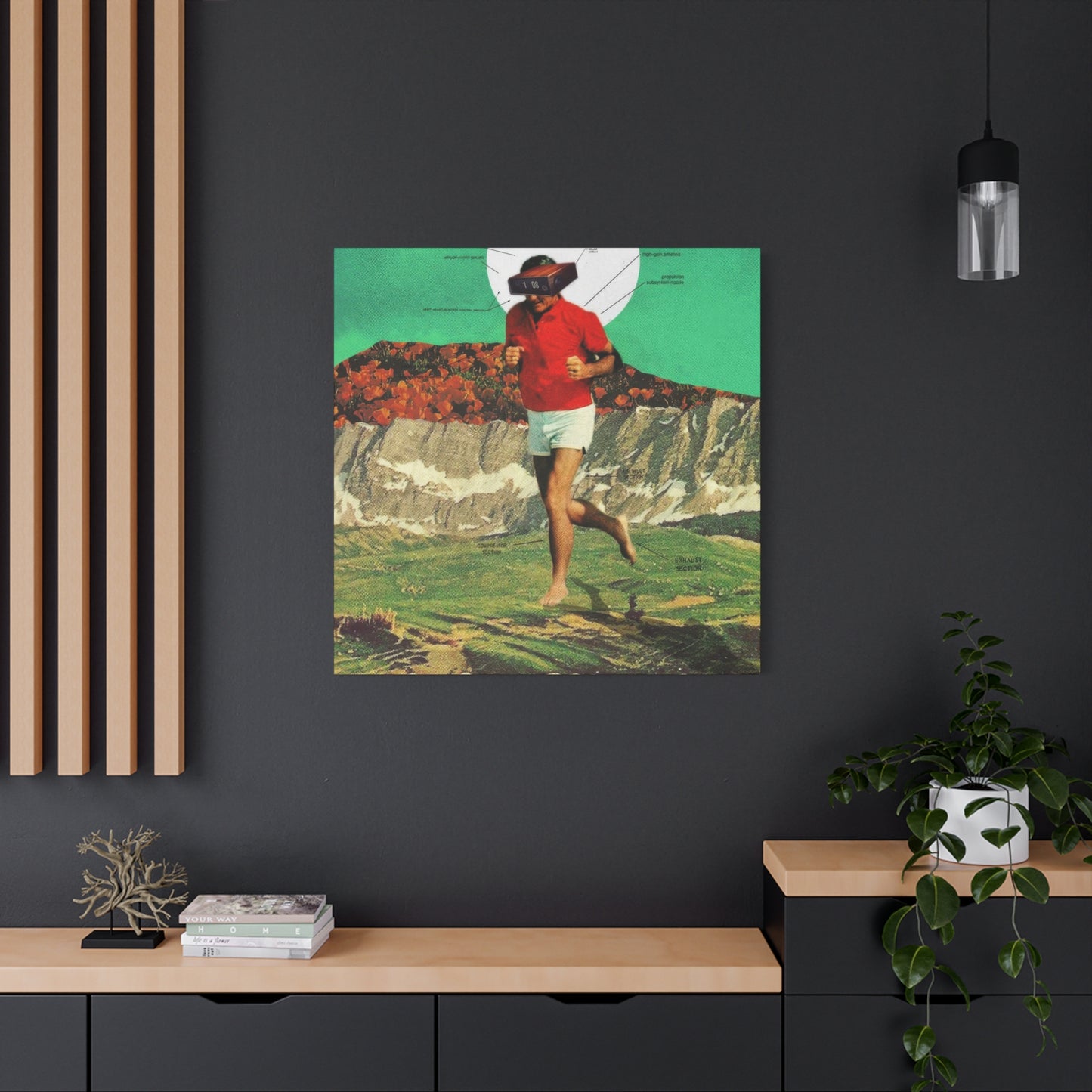 Frank Moth Sheeprunner Wall Art & Canvas Prints