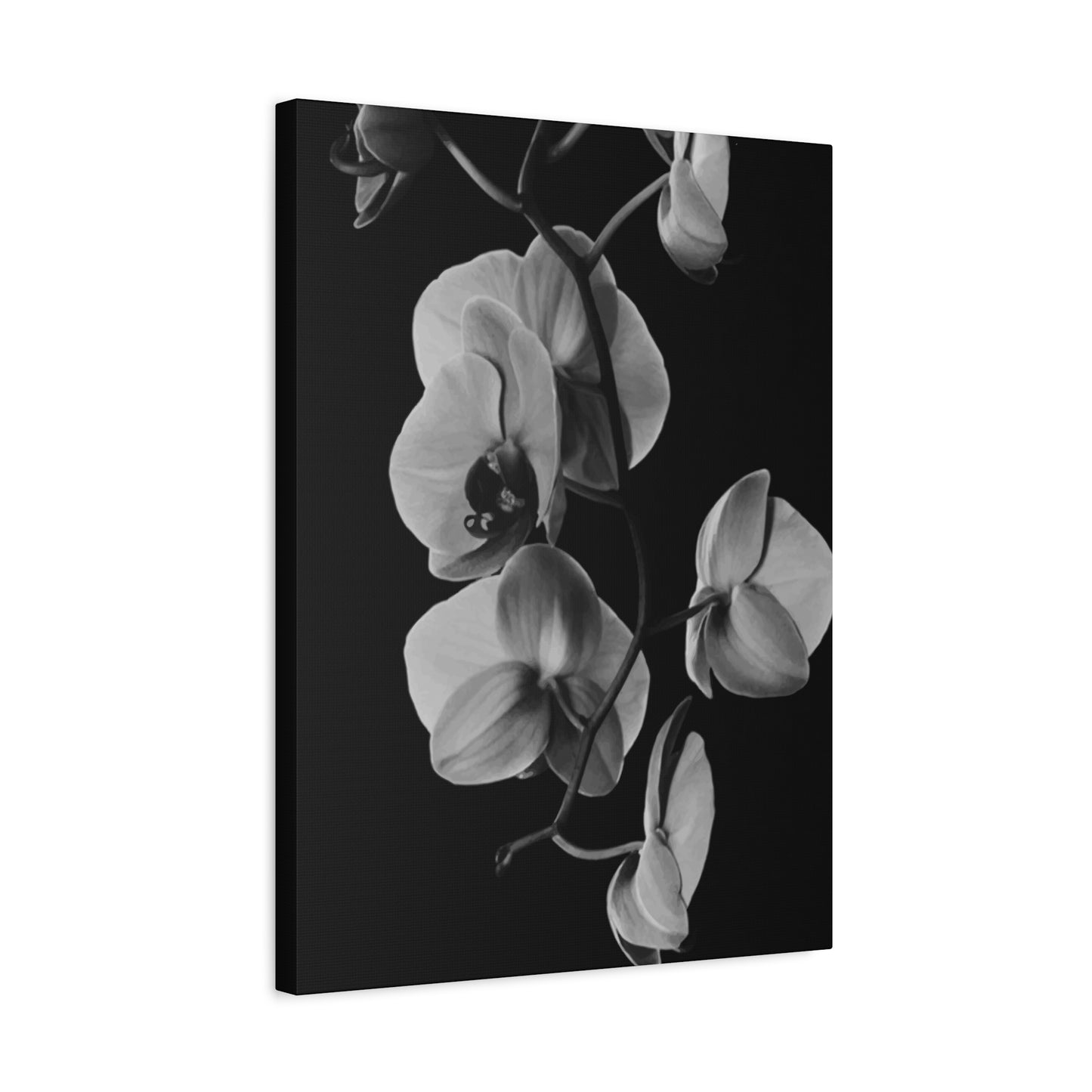 Daffodil Wall Art & Canvas Prints