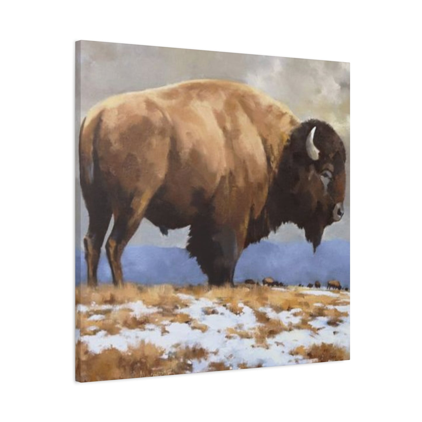 Old Bison Wall Art & Canvas Prints