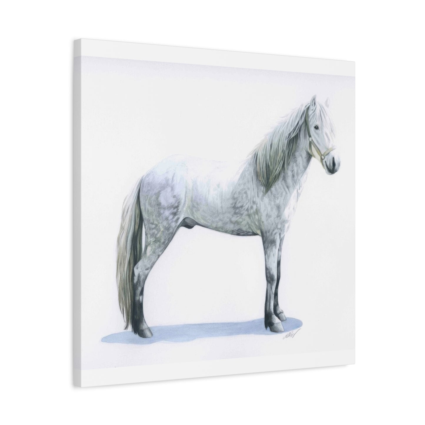 Grace Popp White Horse Wall Art & Canvas Prints