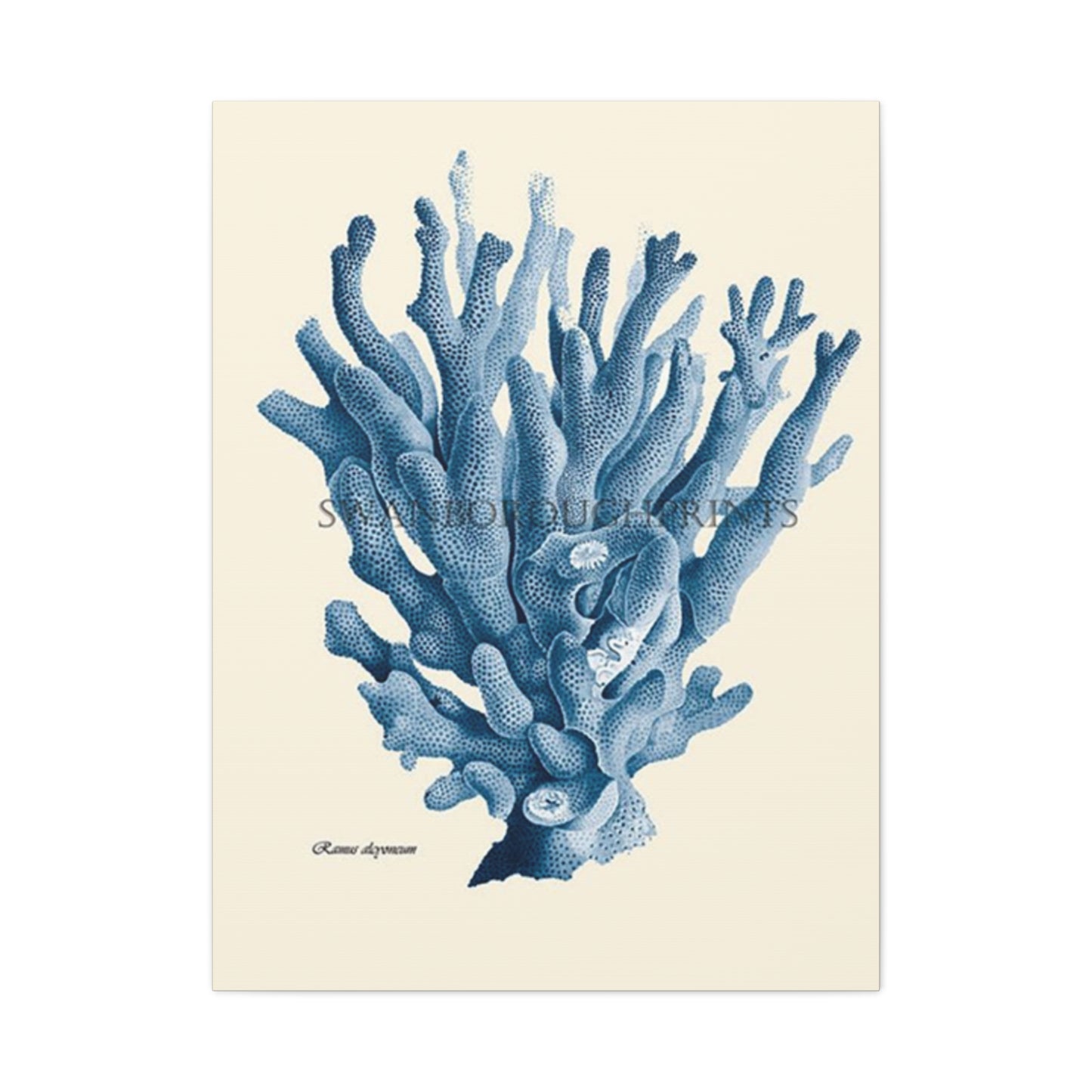 Beautiful Blue Shell Stem Poster Wall Art & Canvas Prints